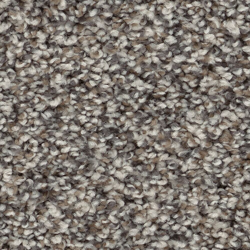 STAINMASTER PetProtect 7L96500503 with LeakDefense Pet Parade I Fog Gray 43.9-oz sq yard High-performance polyester Textured Indoor Carpet