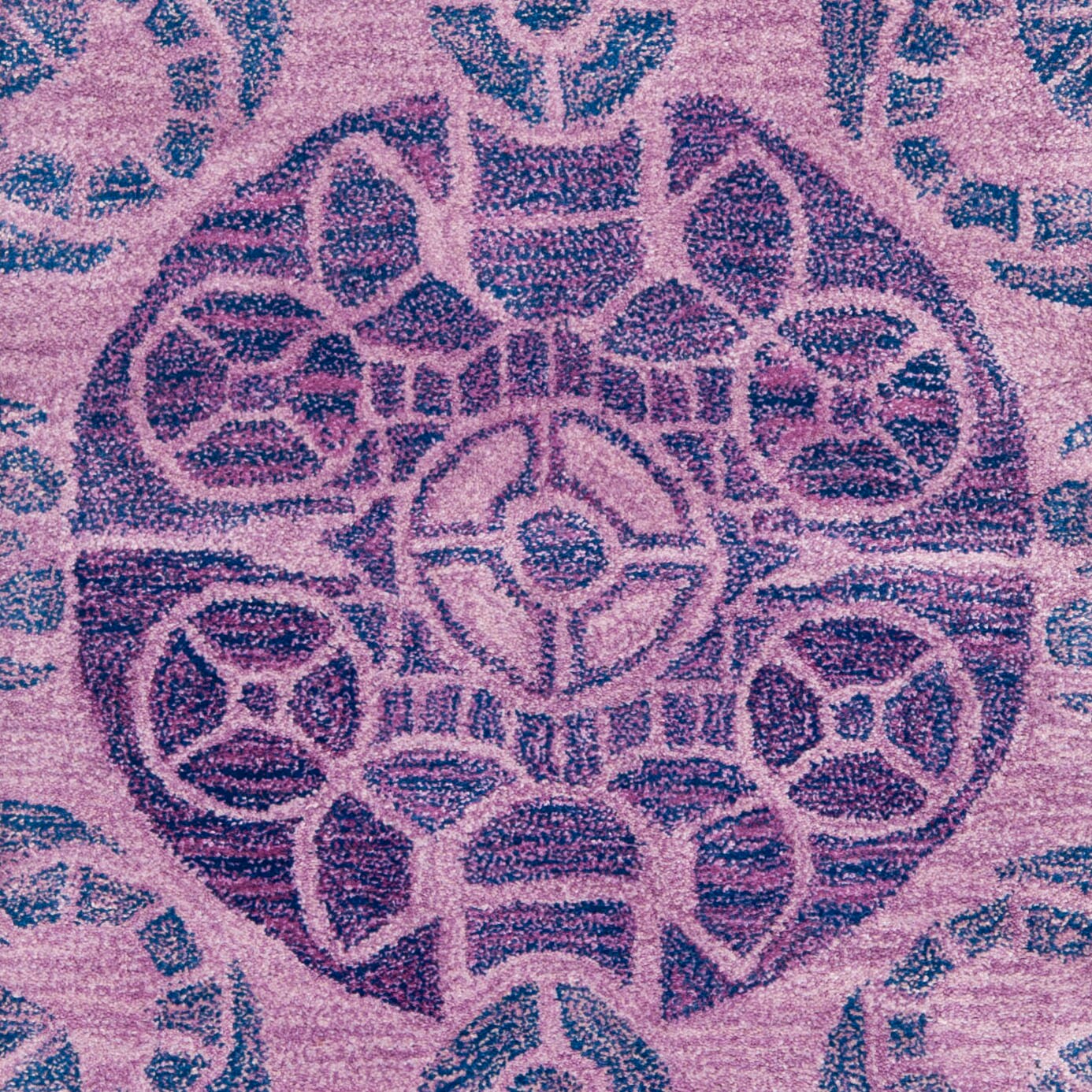 Safavieh WYD376J-27 rugs - View #5