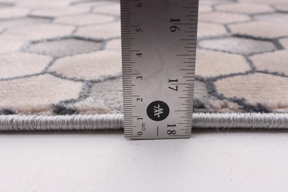 ECARPETGALLERY 347058 rugs - View #6