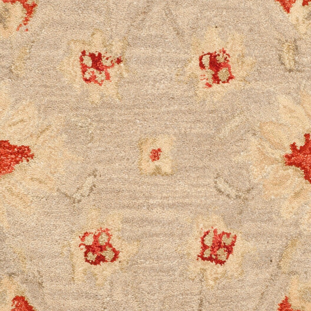 Safavieh AN571A-3 rugs - View #5