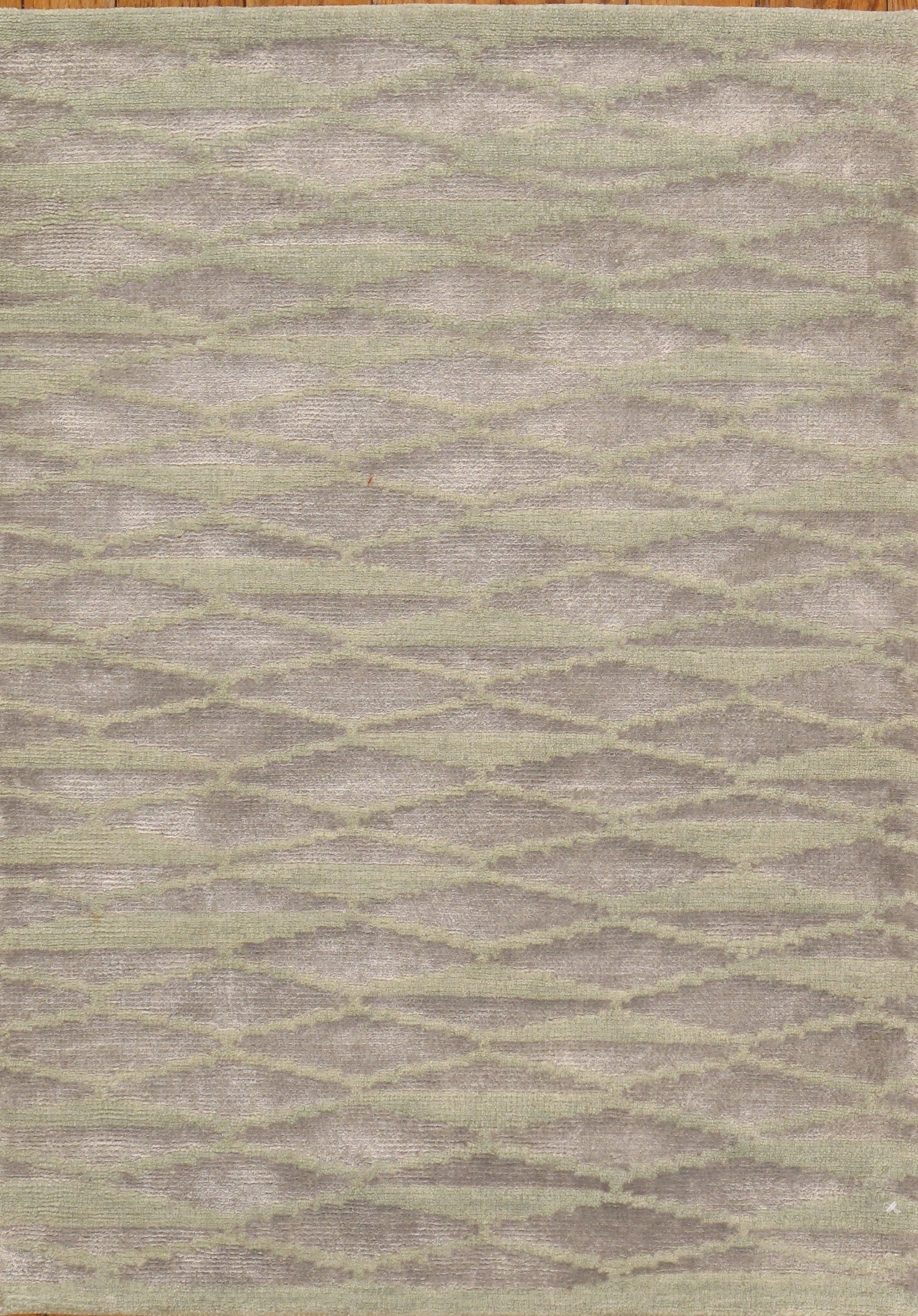 Pasargad Home SHIMMER-2 2X3 Modern 2 X 3 (ft) Green Indoor Area Rug