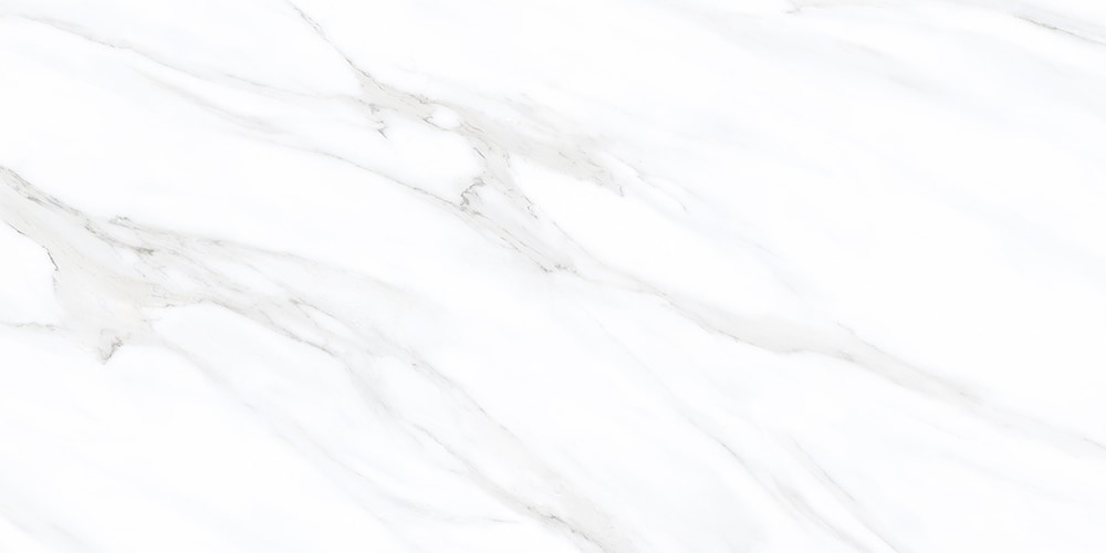 Elida Ceramica LWSSMMCC2448P Ceramic-Tile - View #9