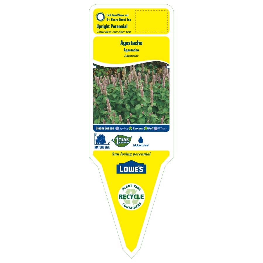 Lowe's 257368 perennials - View #2
