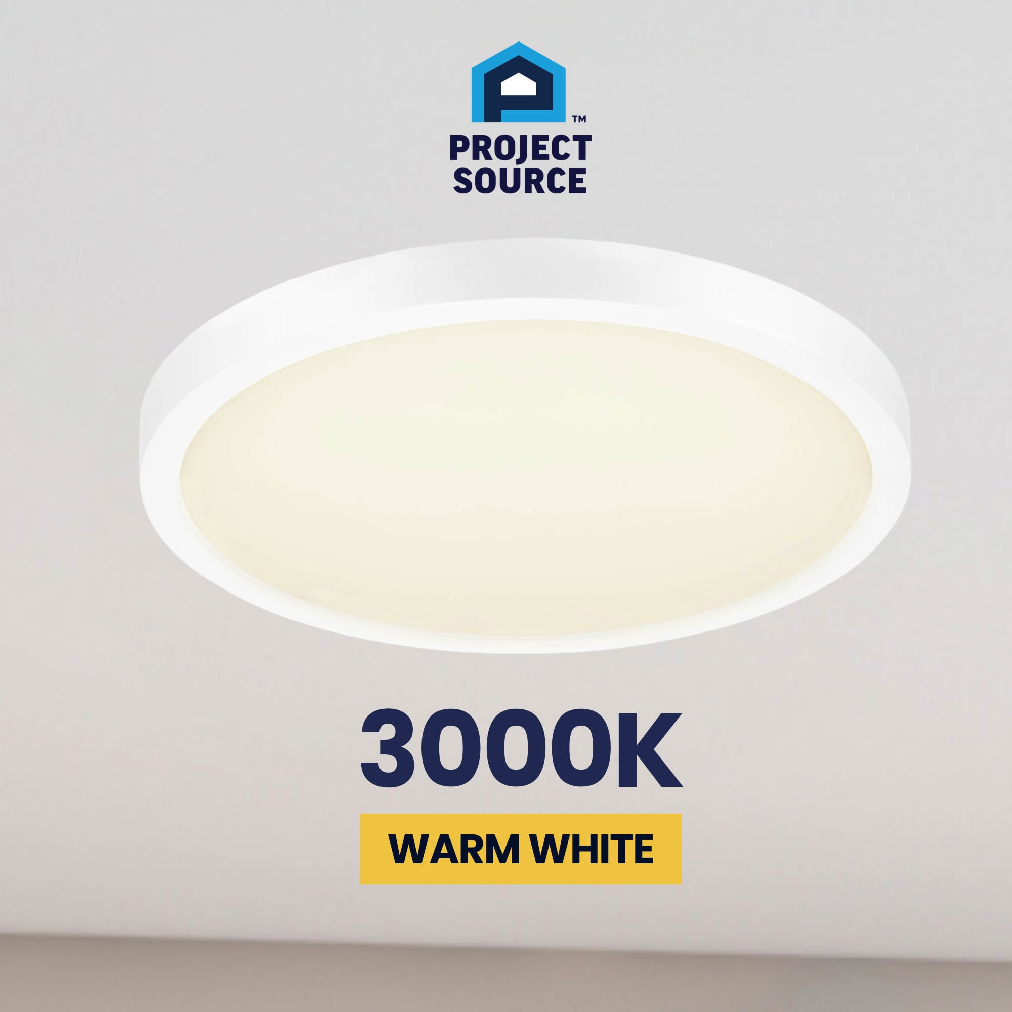 Project Source 43542 flushmounts - View #9