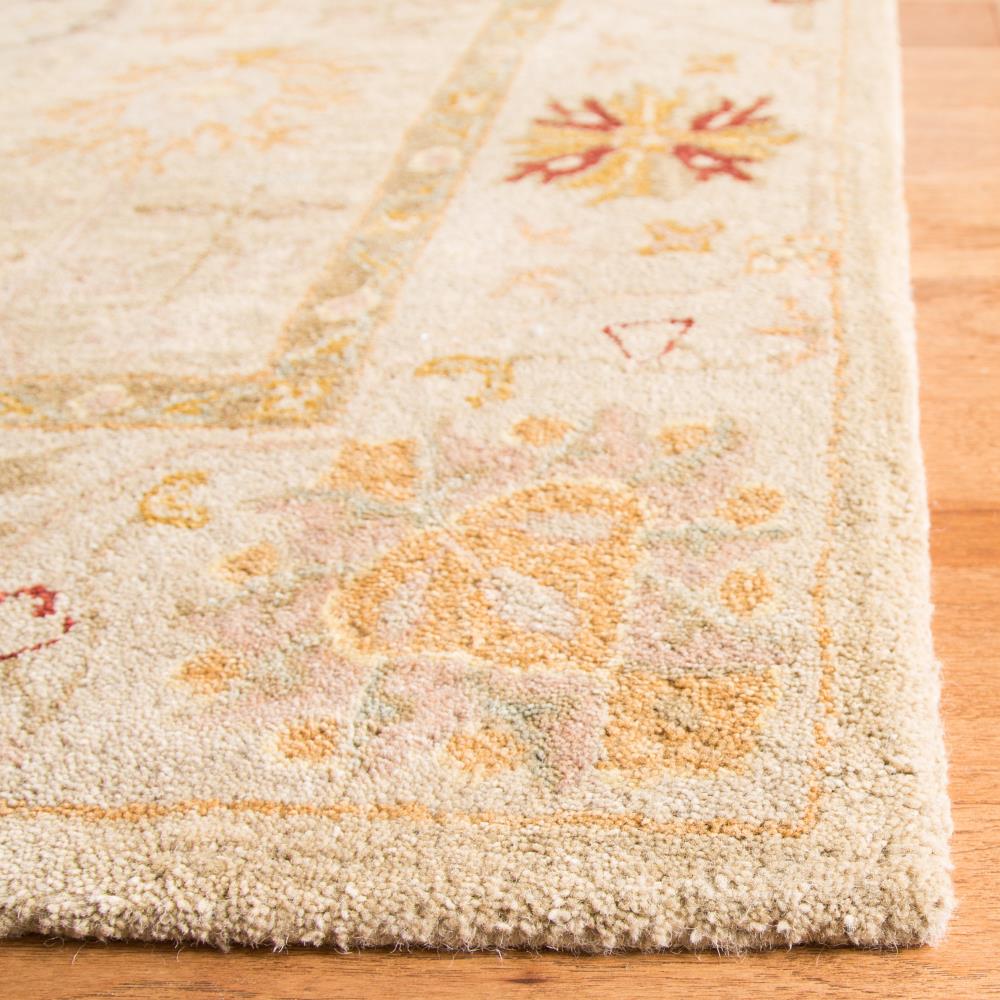 Safavieh AN559B-5 rugs - View #3
