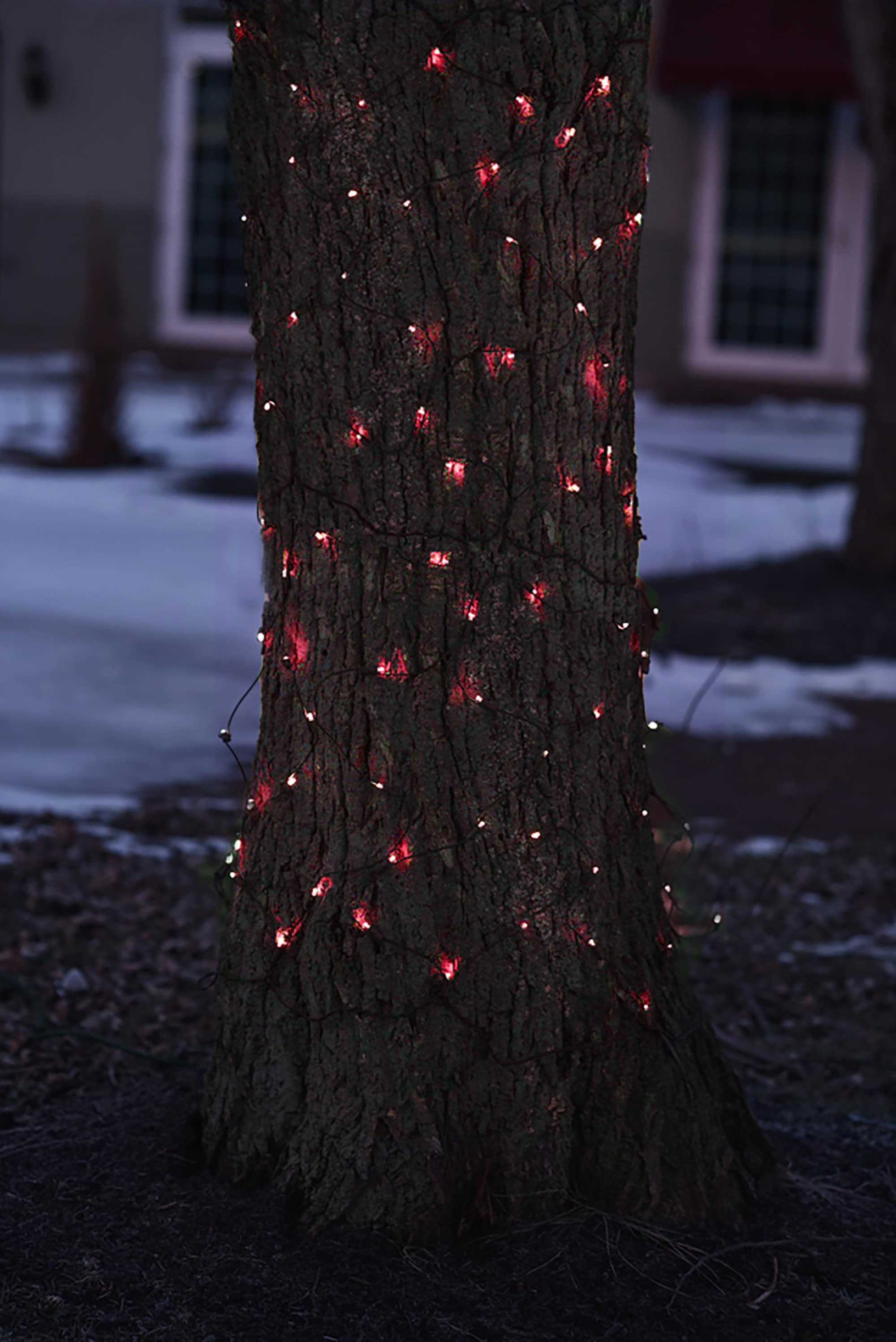 Northlight 32604130 Christmas-String-Lights - View #4