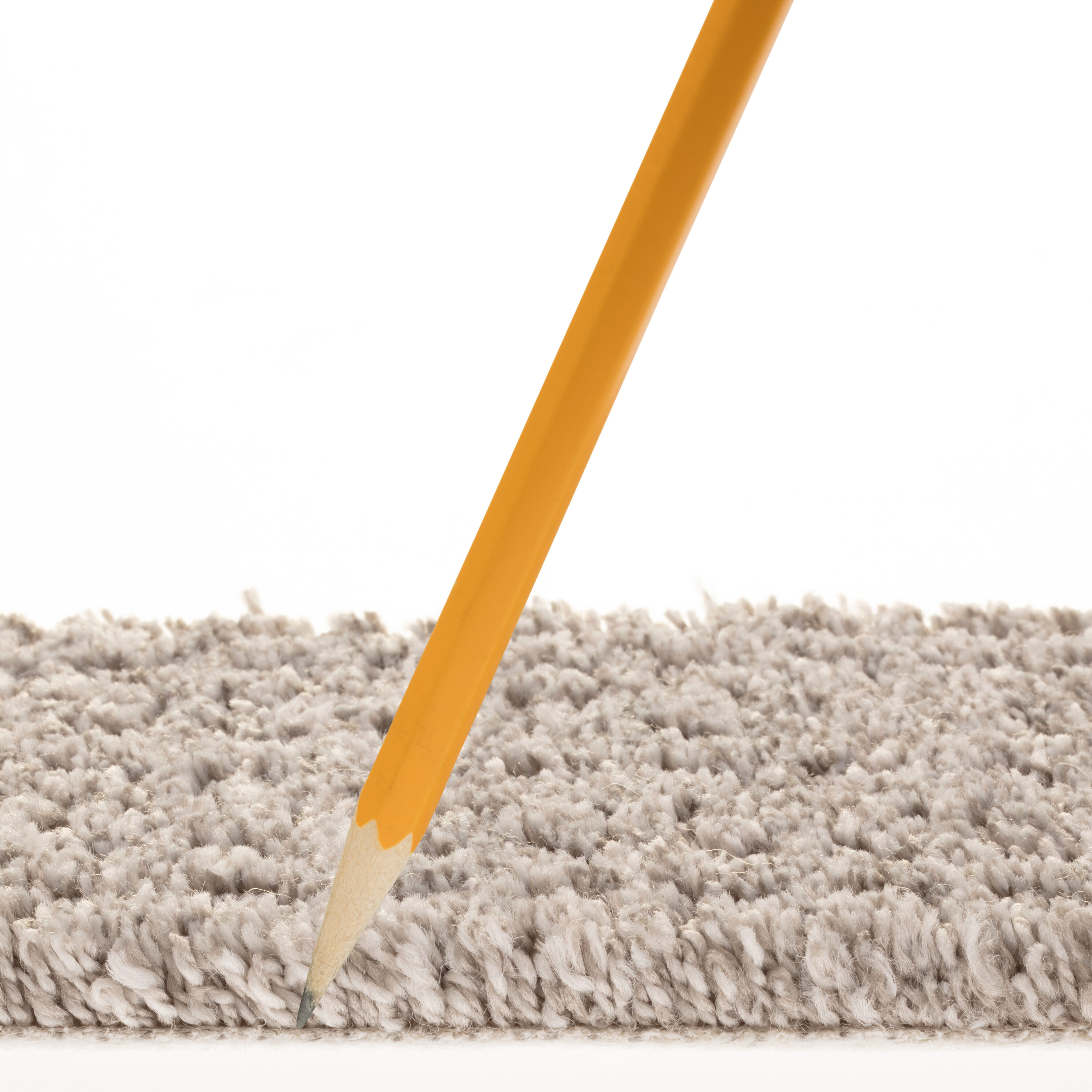 STAINMASTER 7L888 - 504 - SAMP Carpet-Samples - View #7
