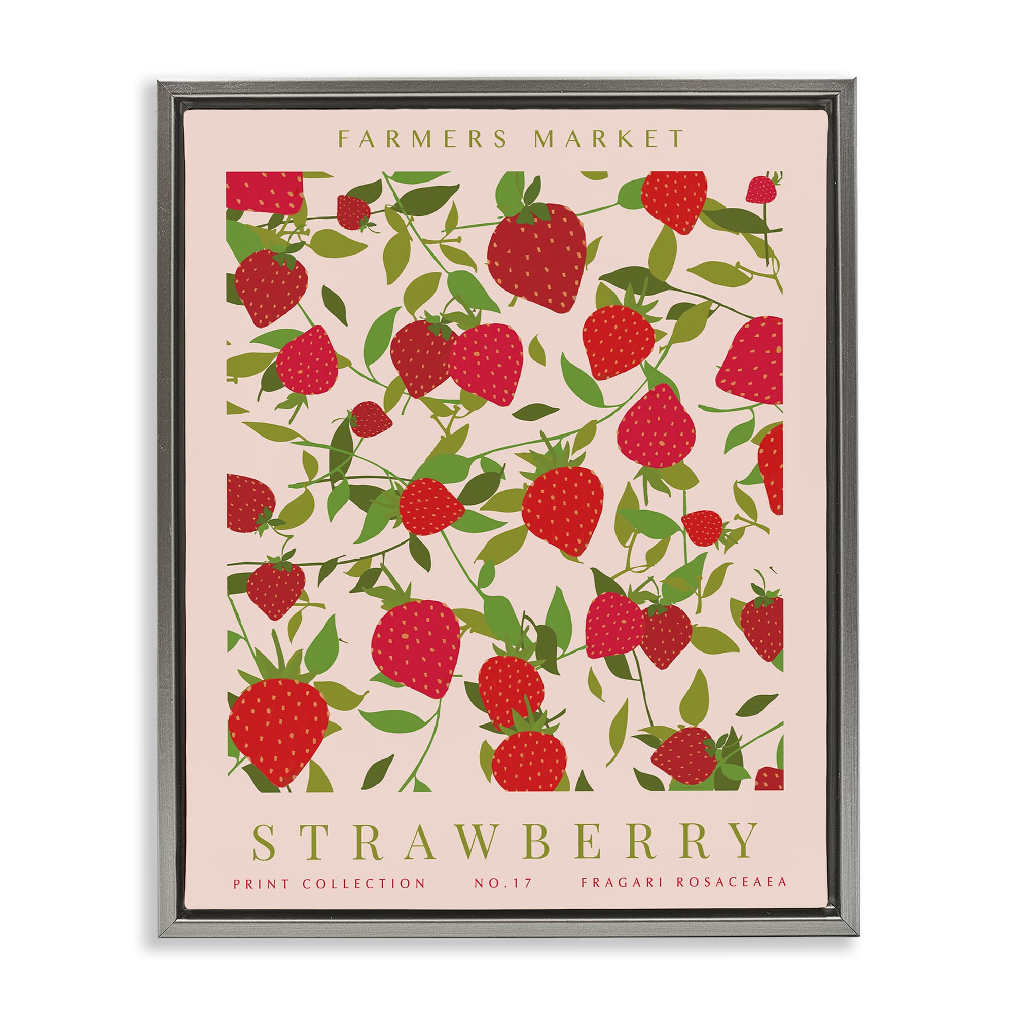 Stupell Industries BS-701-FFL-16X20 Strawberry Gallery Print Gray Framed Floater Canvas Wall Art By Kamdon Kreations 17 x 21