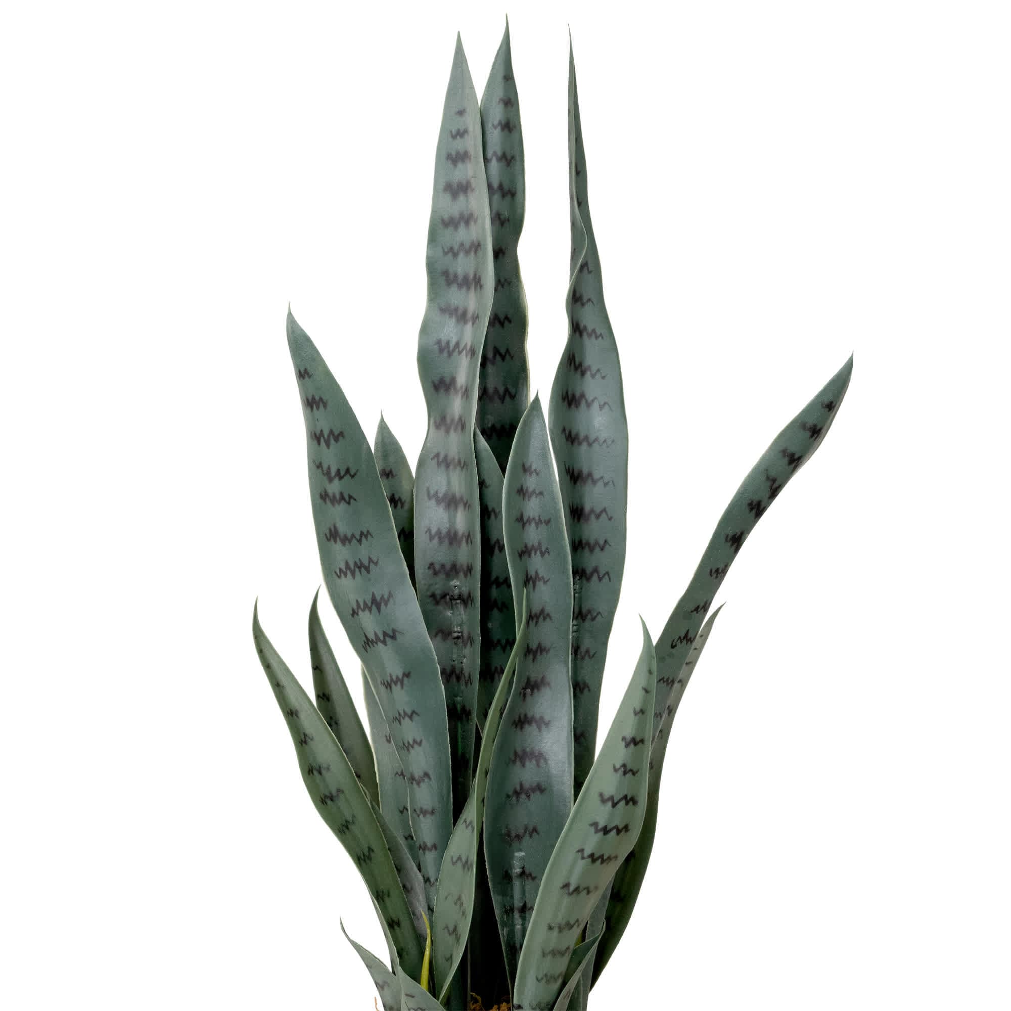Northlight NORTHLIGHT WN26584 Artificial-Plants-Trees - View #3
