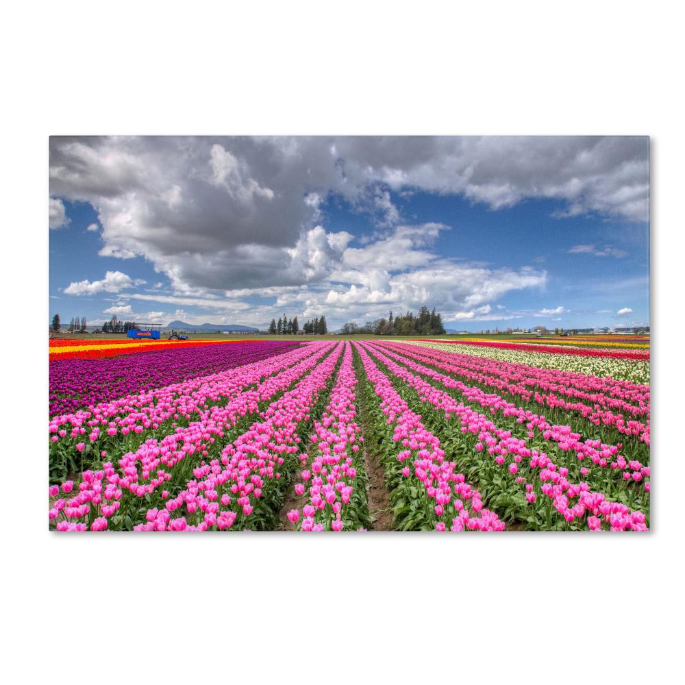 Trademark Fine Art PL0150-C3047GG Framed 30-in H x 47-in W Landscape Print on Canvas