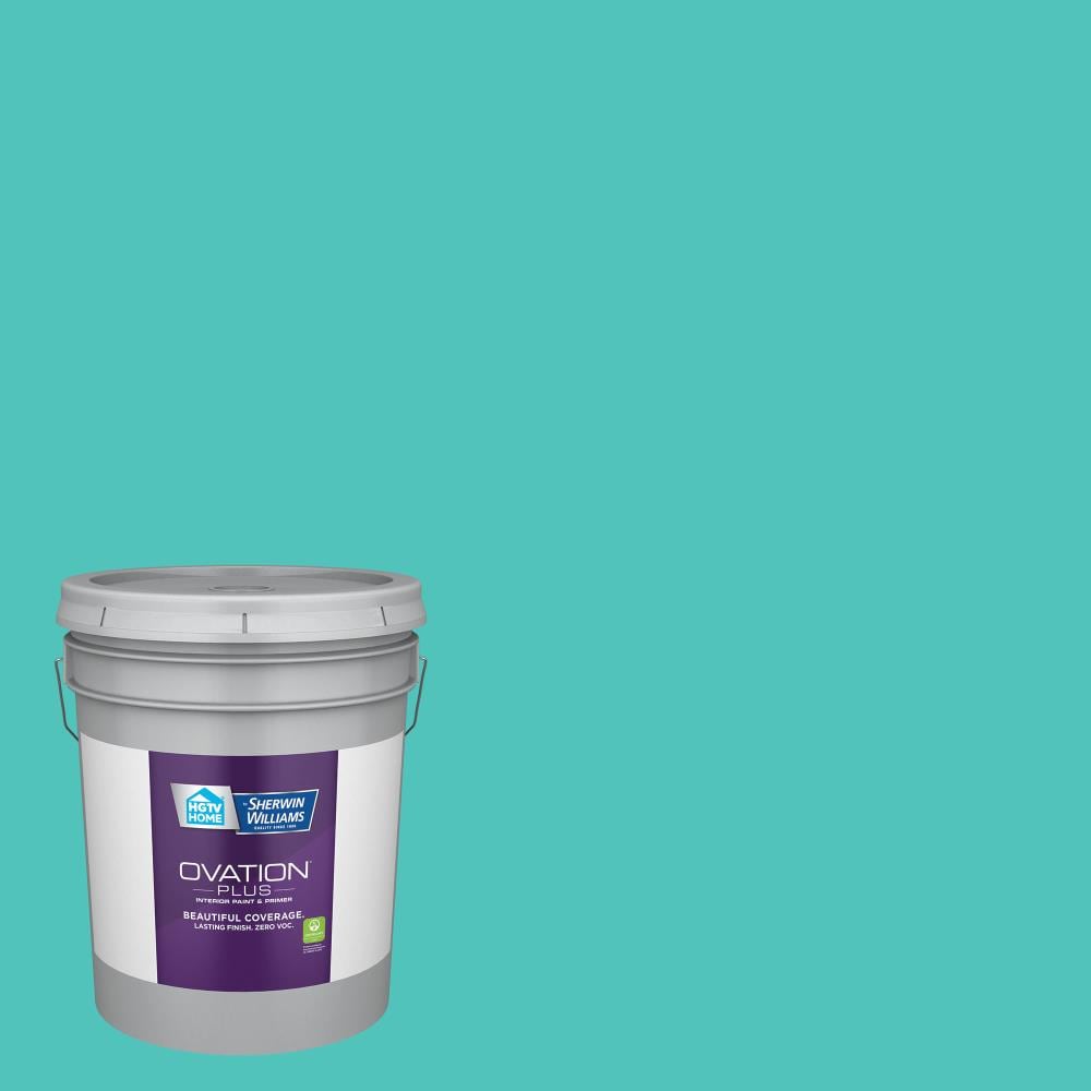 HGTV HOME by Sherwin-Williams 5006-10A-2557224 Ovation Plus Eggshell Bayside 5006-10A Latex Interior Paint Paint + Primer ( 5-gallon )