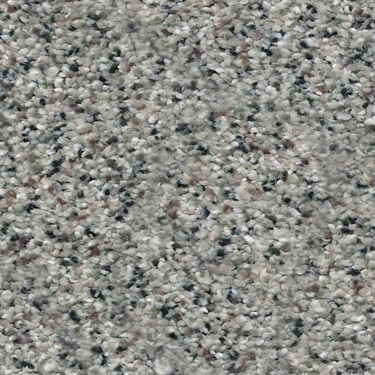 STAINMASTER 7L788-560A-SAMP (Sample) Exquisite Accent I Lasting Moment Gray 42.9-oz sq yard Nylon Textured Indoor Carpet