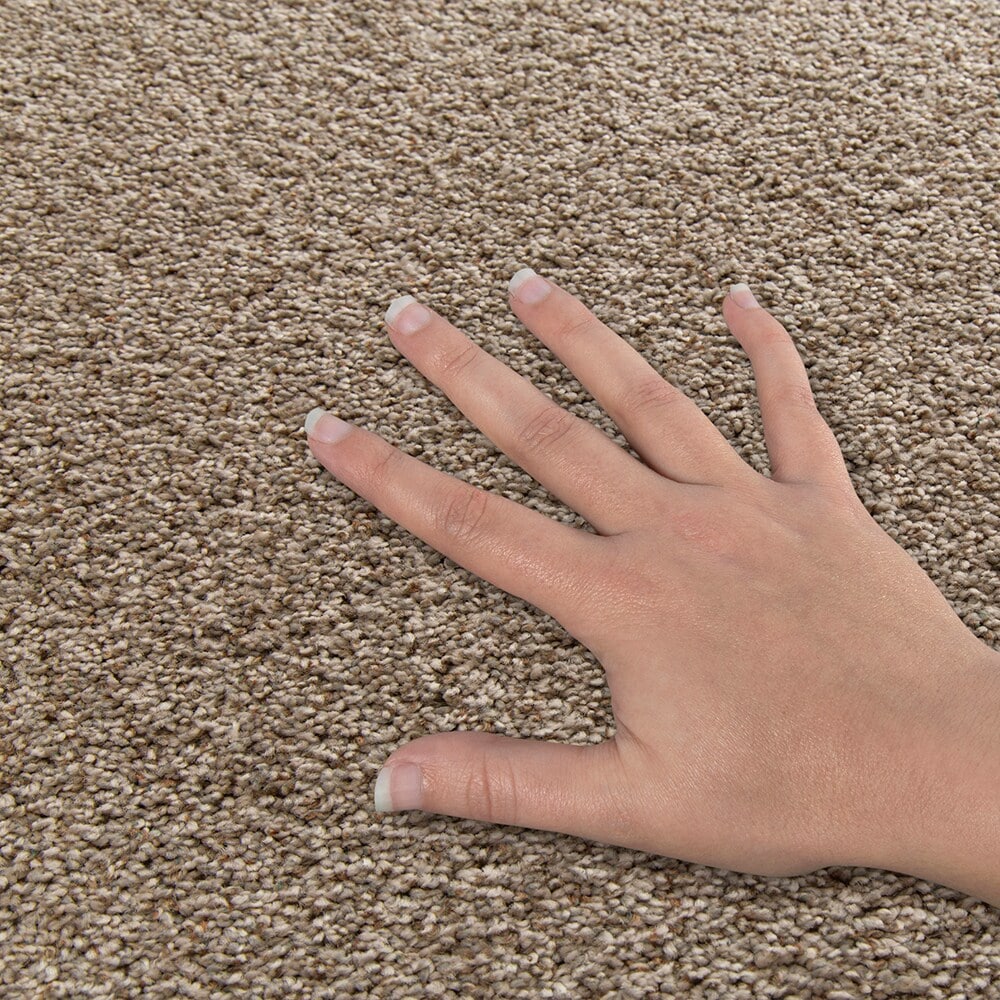 Style Selections SS016-L008-0808 Carpet-Samples - View #4