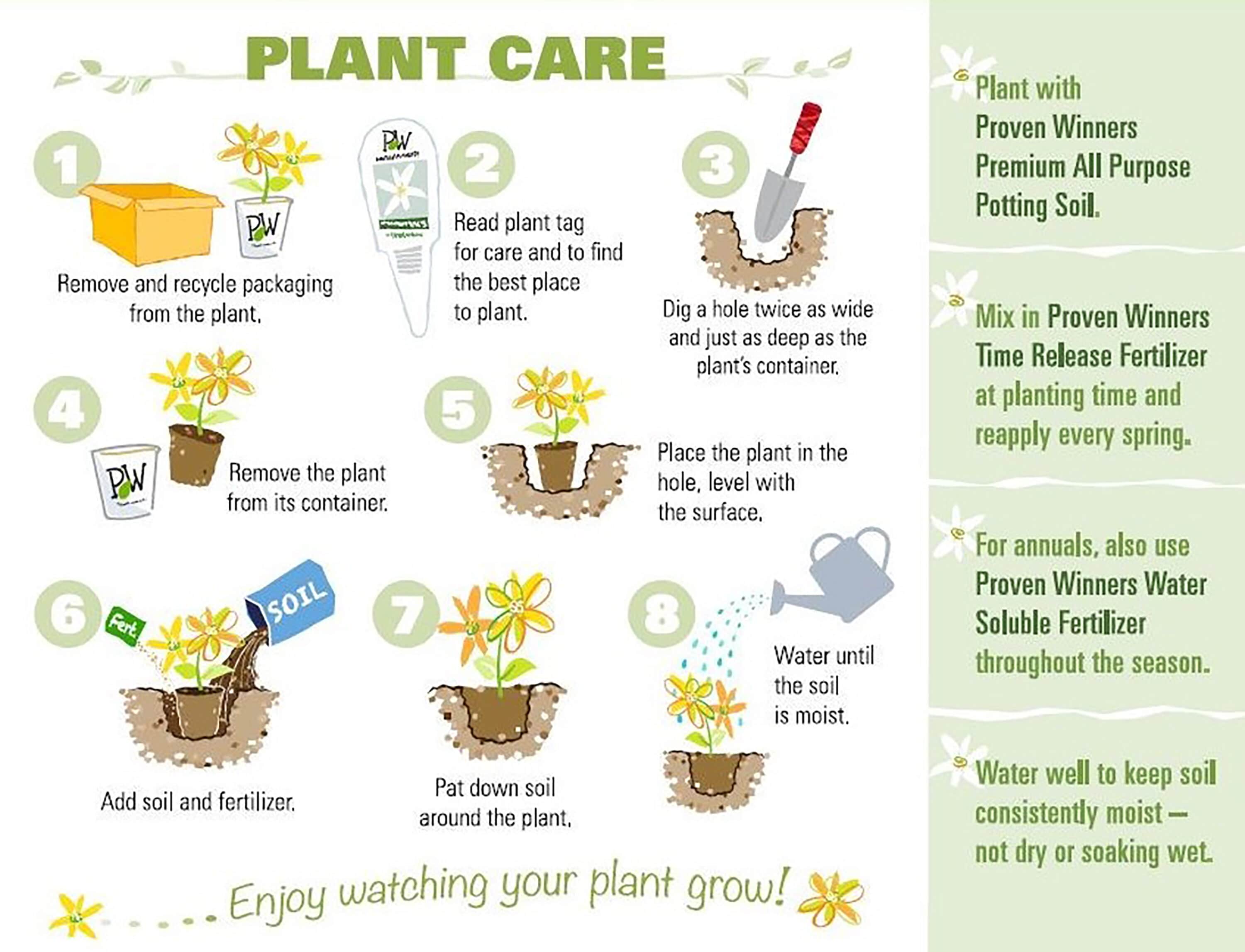 Which Plants Should You Buy?  Best Premium Plants in Plants vs