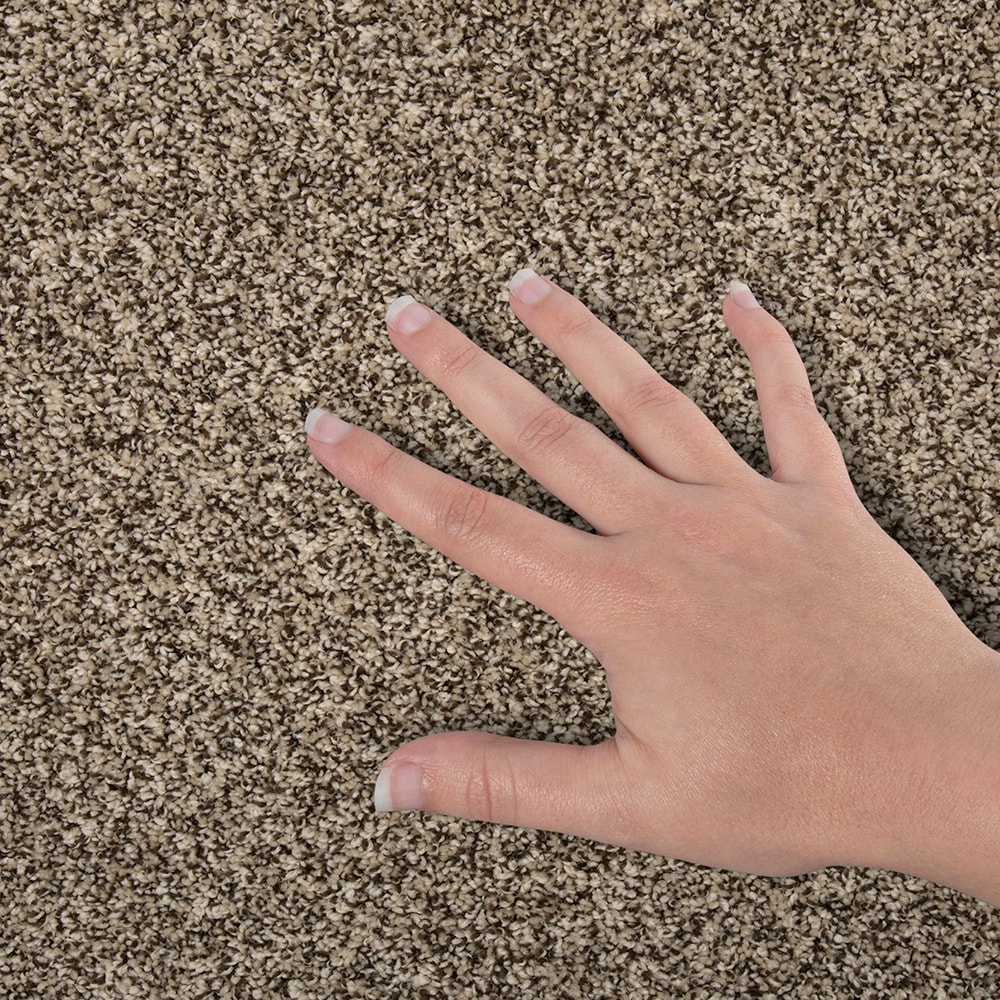 STAINMASTER SS034-12-L008 Carpet-Panel - View #4