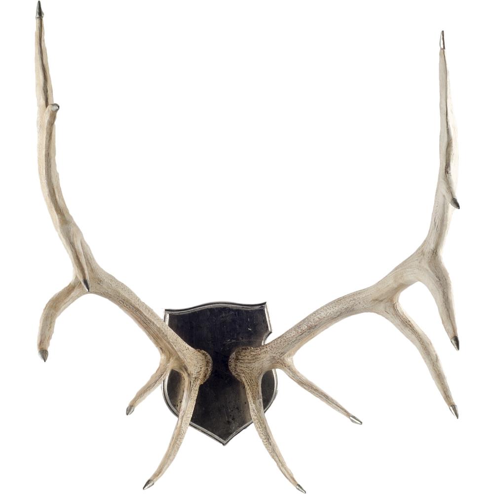 natural antlers
