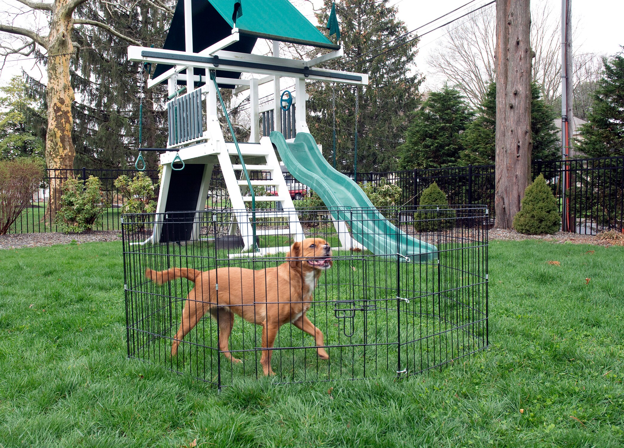 Iconic Pet 92143 Pet-Crates-Carriers - View #2