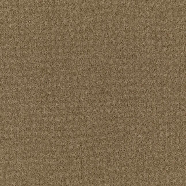 Home & Office Sophisticated Look 30 Buckskin Plush Carpet (Indoor) Home & Office Sophisticated Look 30 Buckskin Plush Carpet (Indoor)