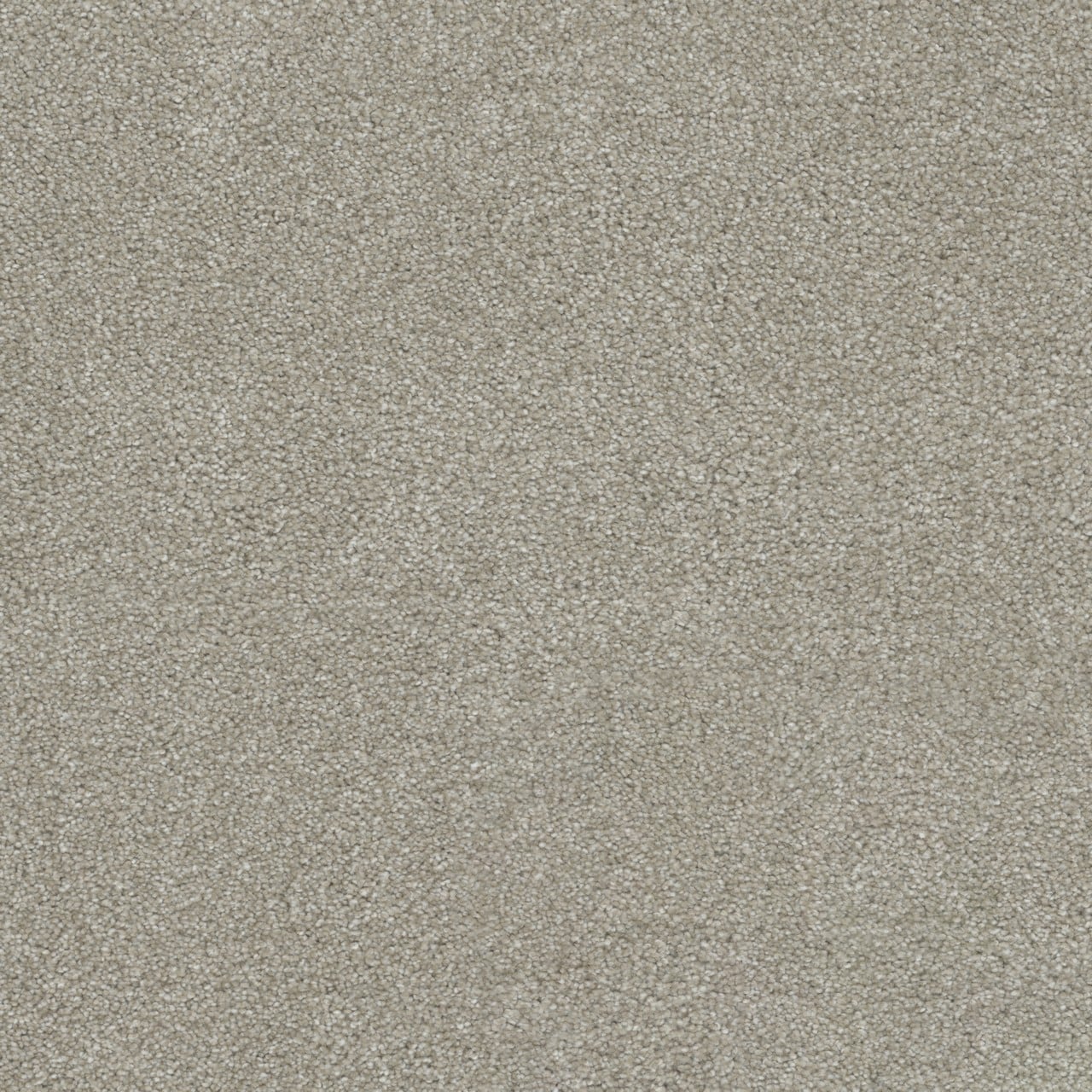 STAINMASTER L5013-1207-1200-AB Joyful Sound II Gentle Breeze Tan 55-oz sq yard Solution-dyed polyester Textured Indoor Carpet