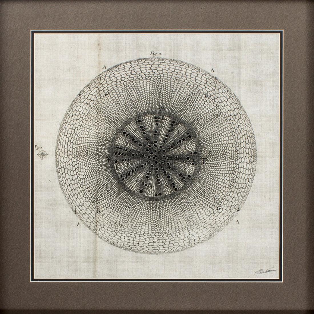 HomeRoots 365733 Wall-Art - View #4