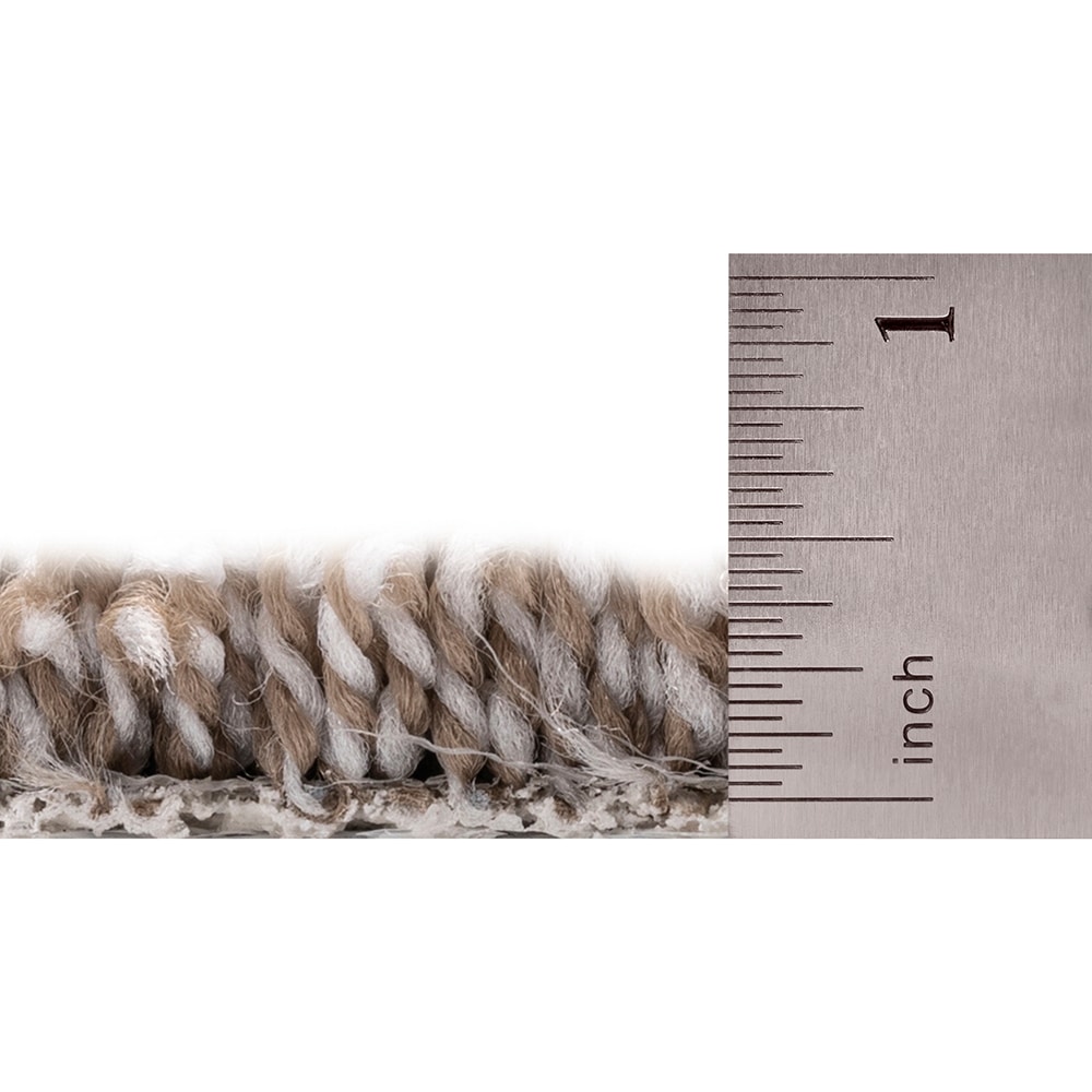 STAINMASTER SS020-L003-0808 Carpet-Samples - View #6