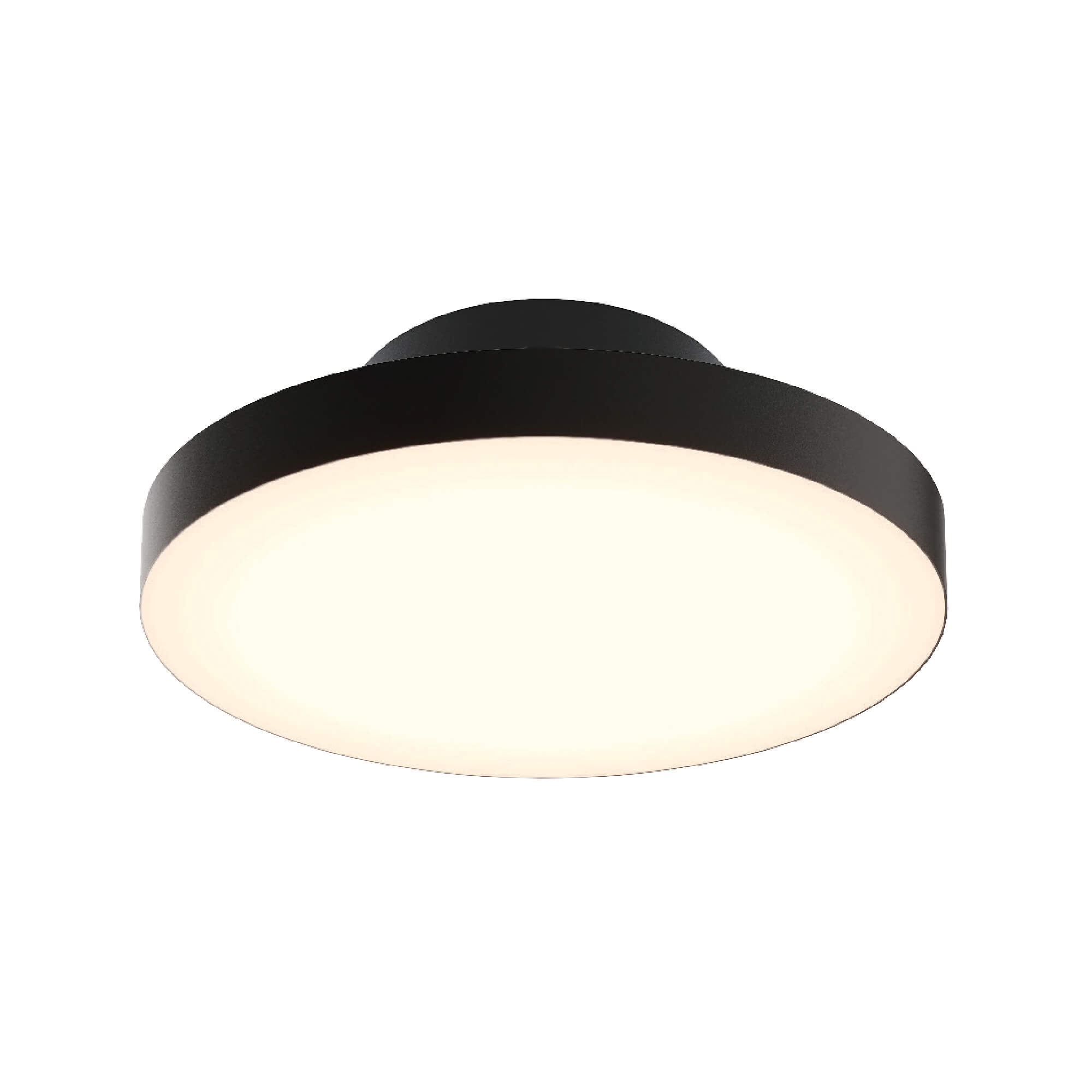 DALS Lighting TLPF12-CC-UNV-BK flushmounts - View #4