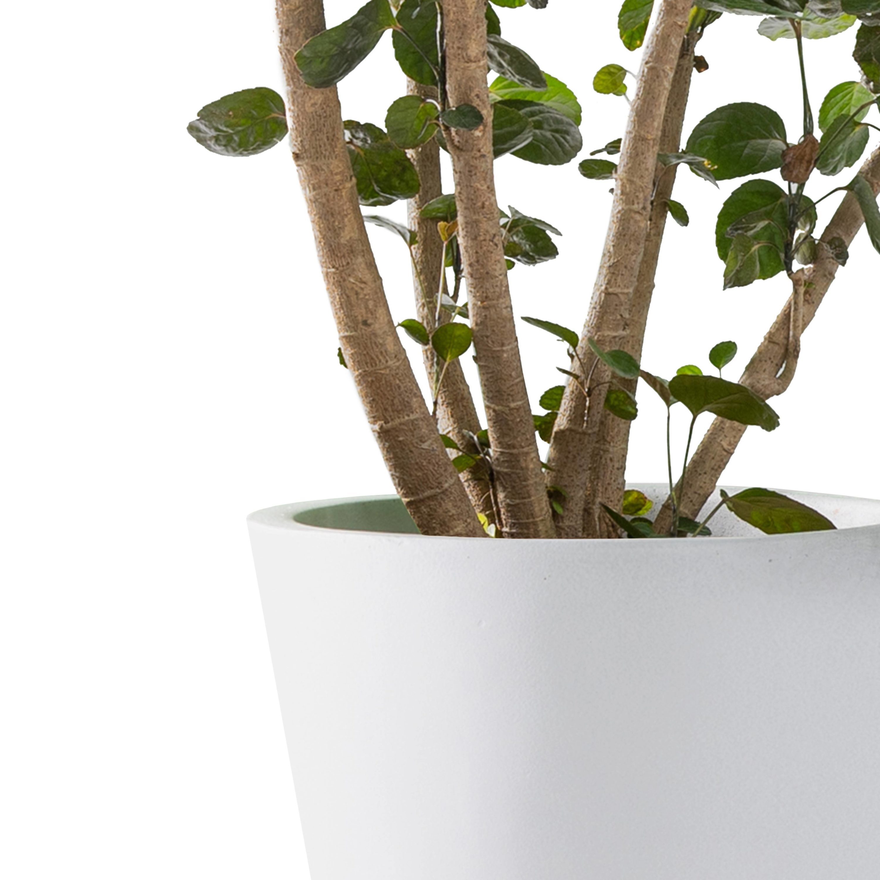 KANTE RC0154BCDE-C80011 Planter-Window-Box - View #8