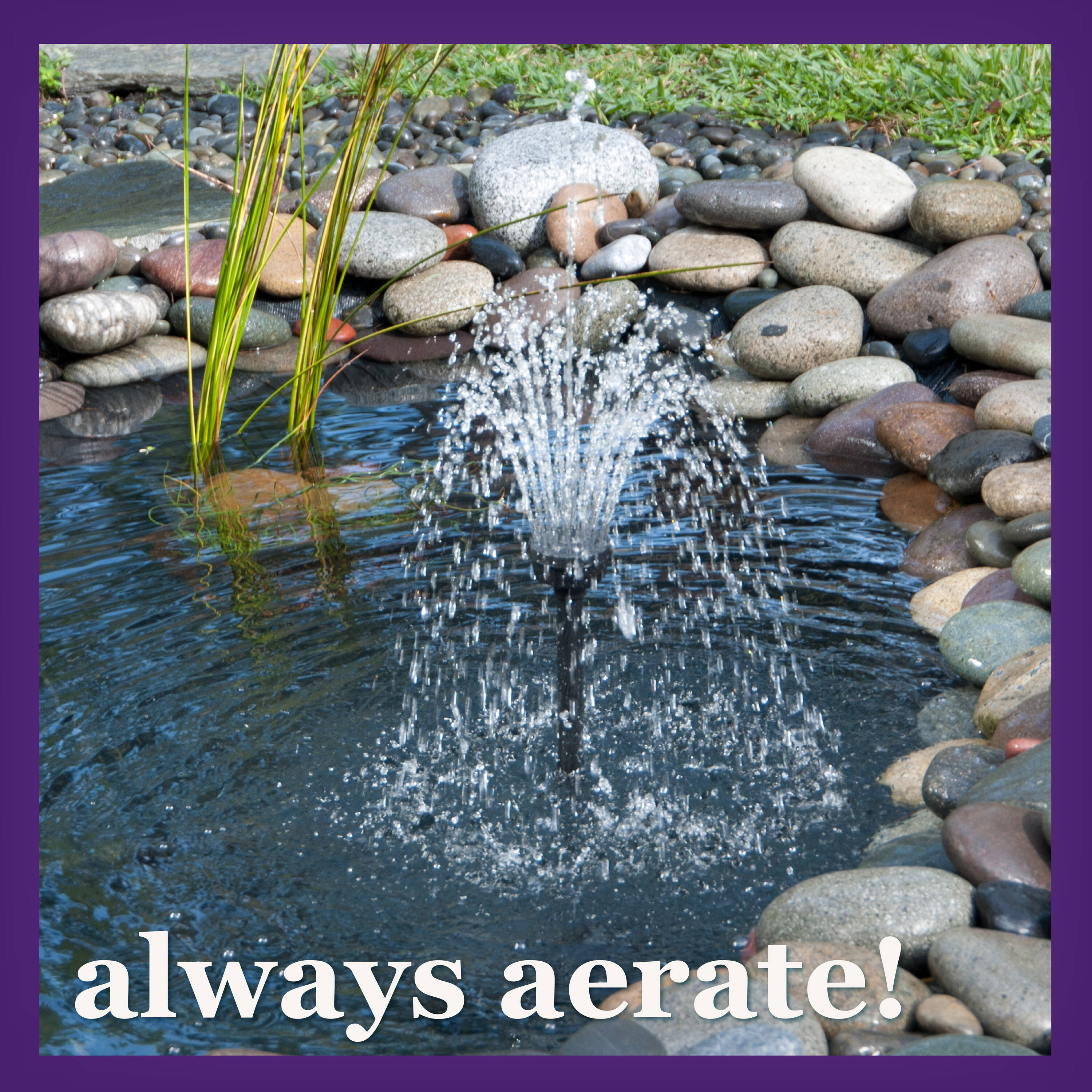 smartpond 96890 Pond-Cleaners - View #8