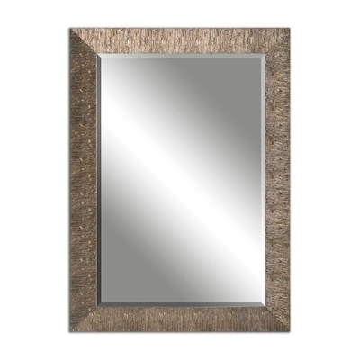 Golden Champagne Beveled Wall Mirror, Allen And Roth Silver Beveled Mirror
