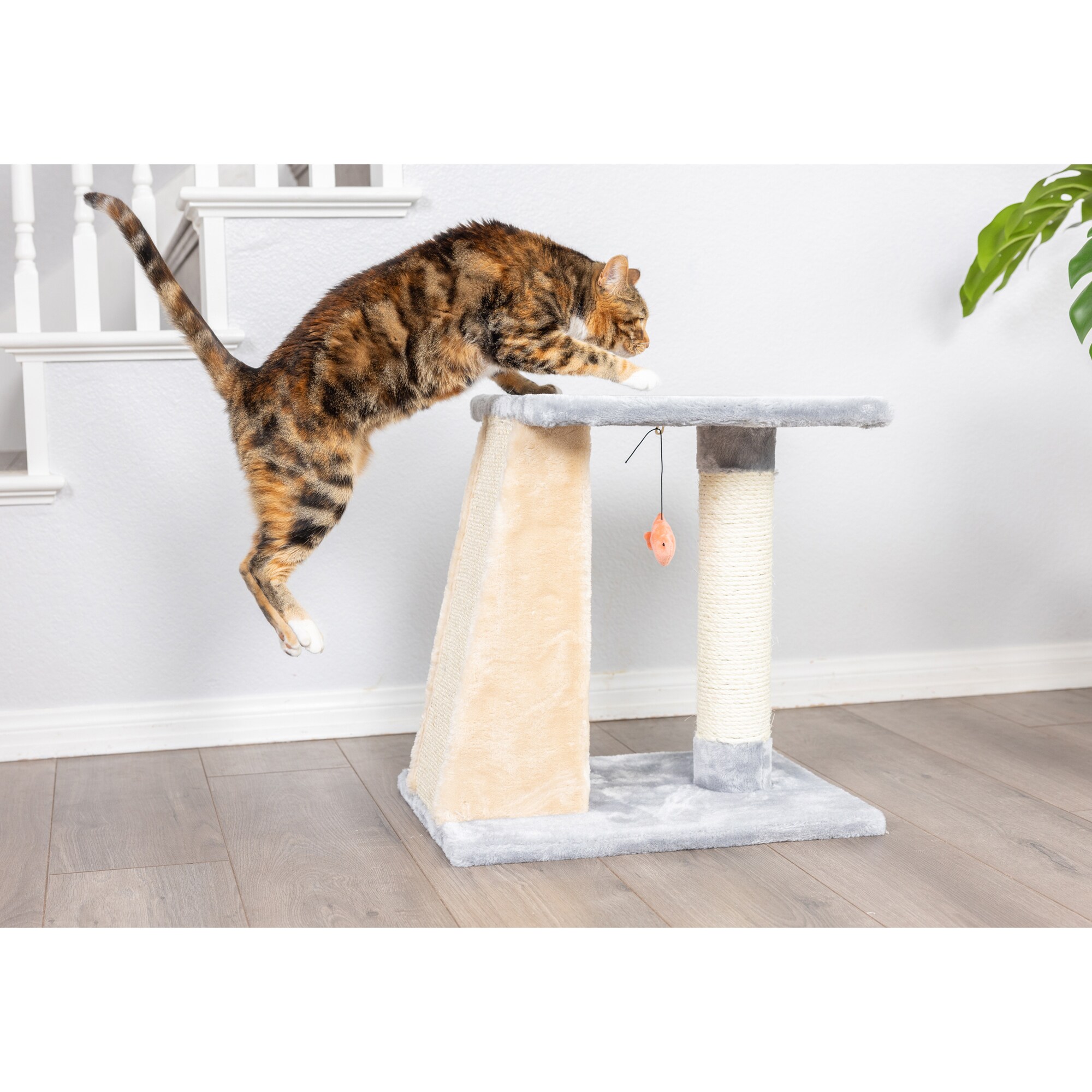 Gray and Beige Sisal Carpet Two-Level Cat Scratcher