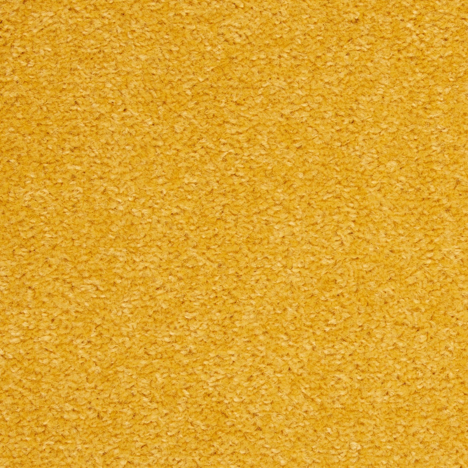 Nourison 099446825421 rugs - View #5