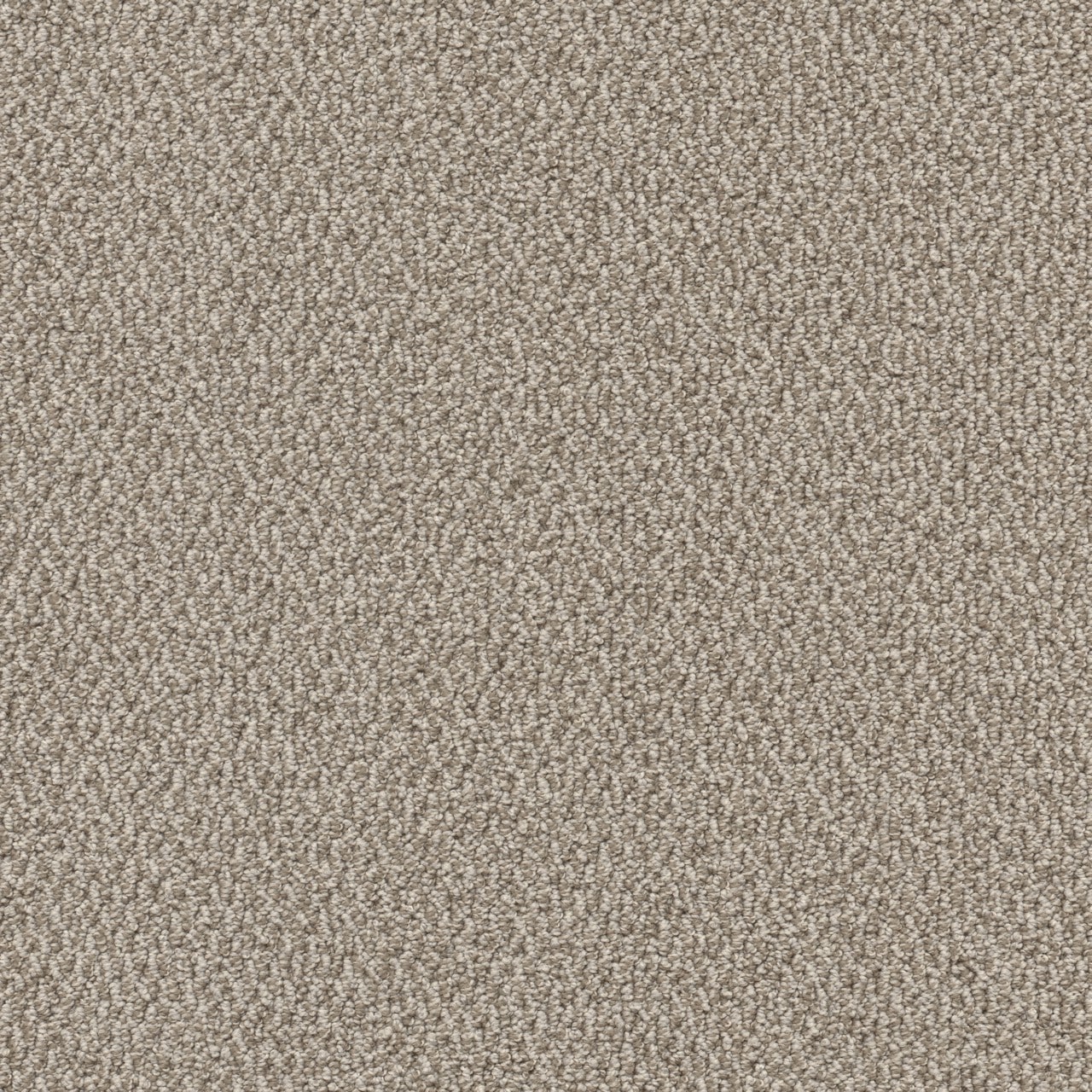 STAINMASTER L5011-9002-1200-AB Emoji Tag Gray 35-oz sq yard Solution-dyed polyester Pattern Indoor Carpet