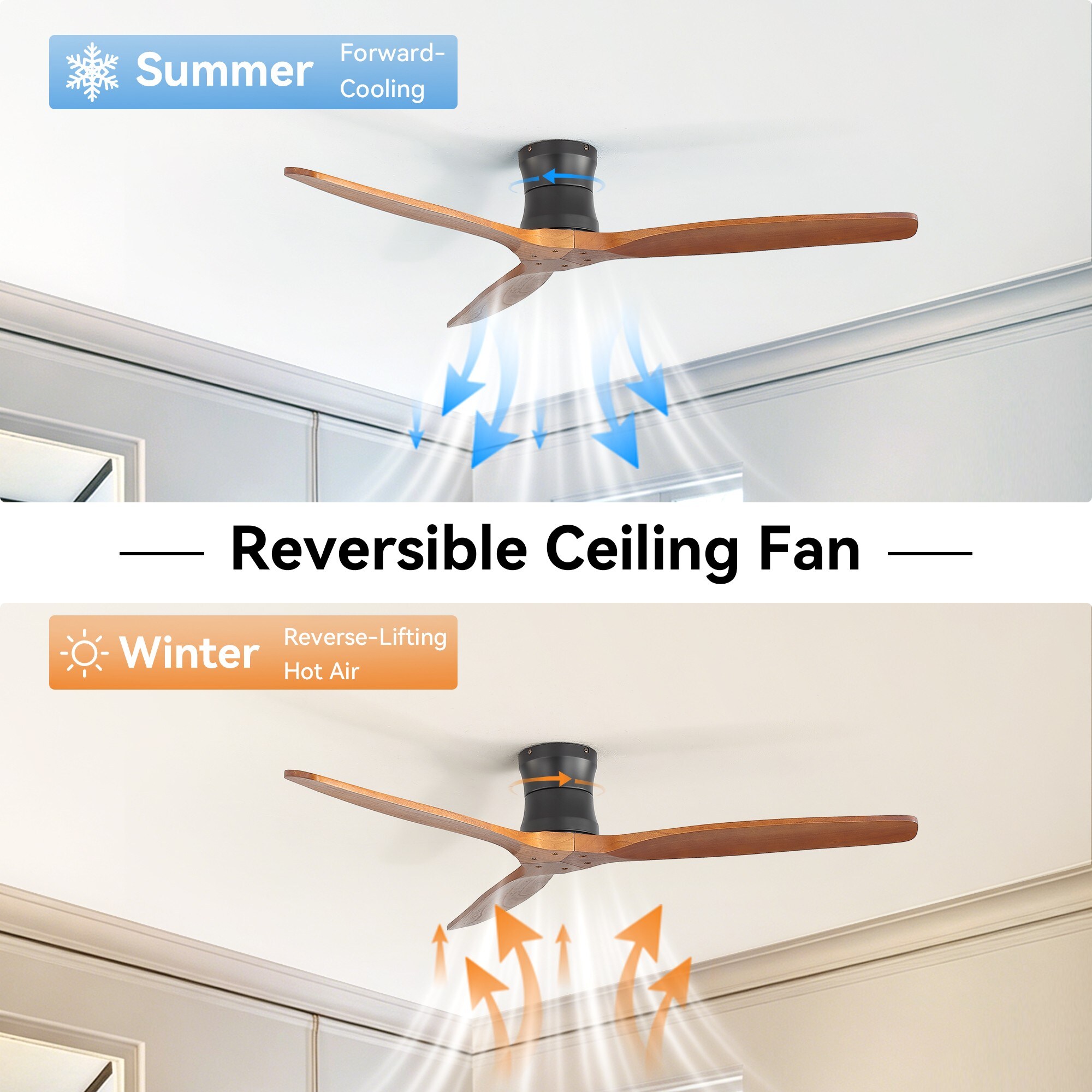 Cuschoice JAN-109-CF Ceiling-Fans - View #3