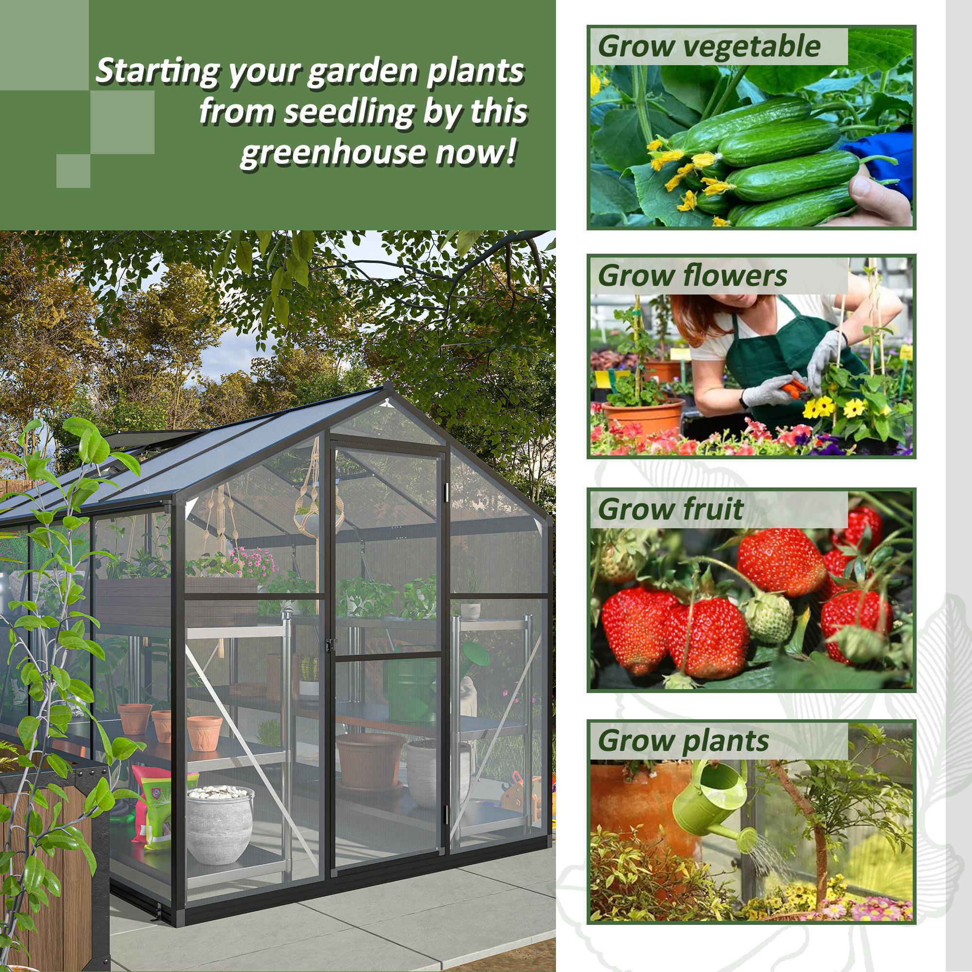 Bayfeve BF-250501-GH greenhouses - View #4