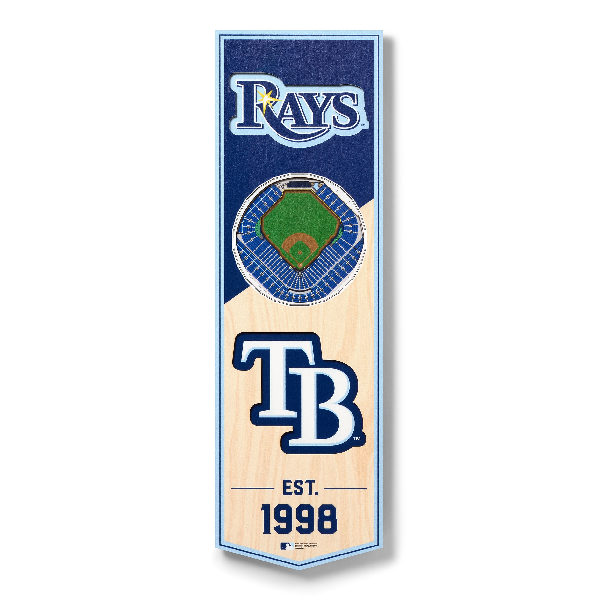 StadiumViews Tampa Bay Rays Youthefan Team Colors Floater Frame 19