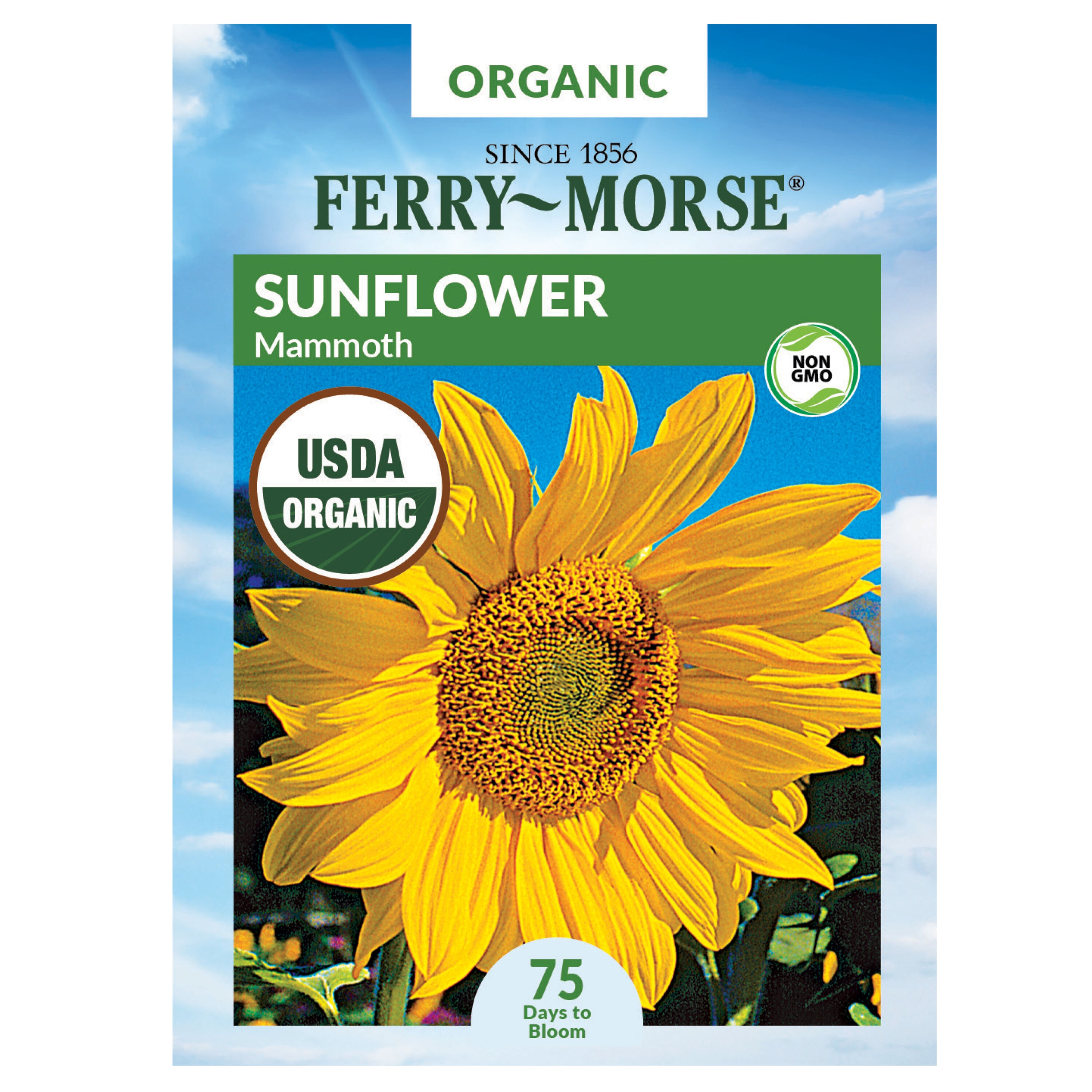 Ferry-Morse 914372.299.644422 Organic Sunflower Mammoth Organic Vegetable Seeds 5 Gram(s)