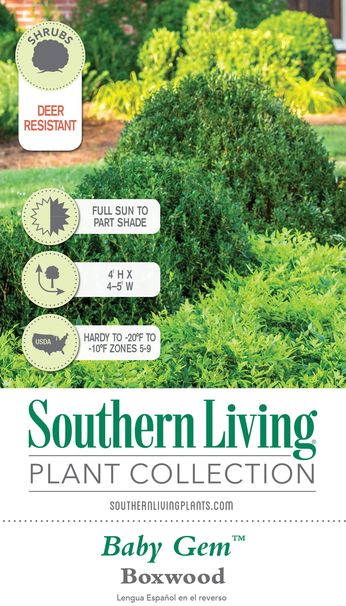 Southern Living Plant Collection 06092-1 shrubs - View #10