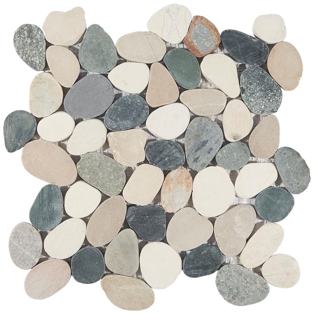 Artmore Tile EXT3RD105007 Sample - Landscape Multicolored 3-in x 6-in Natural Wall Tile