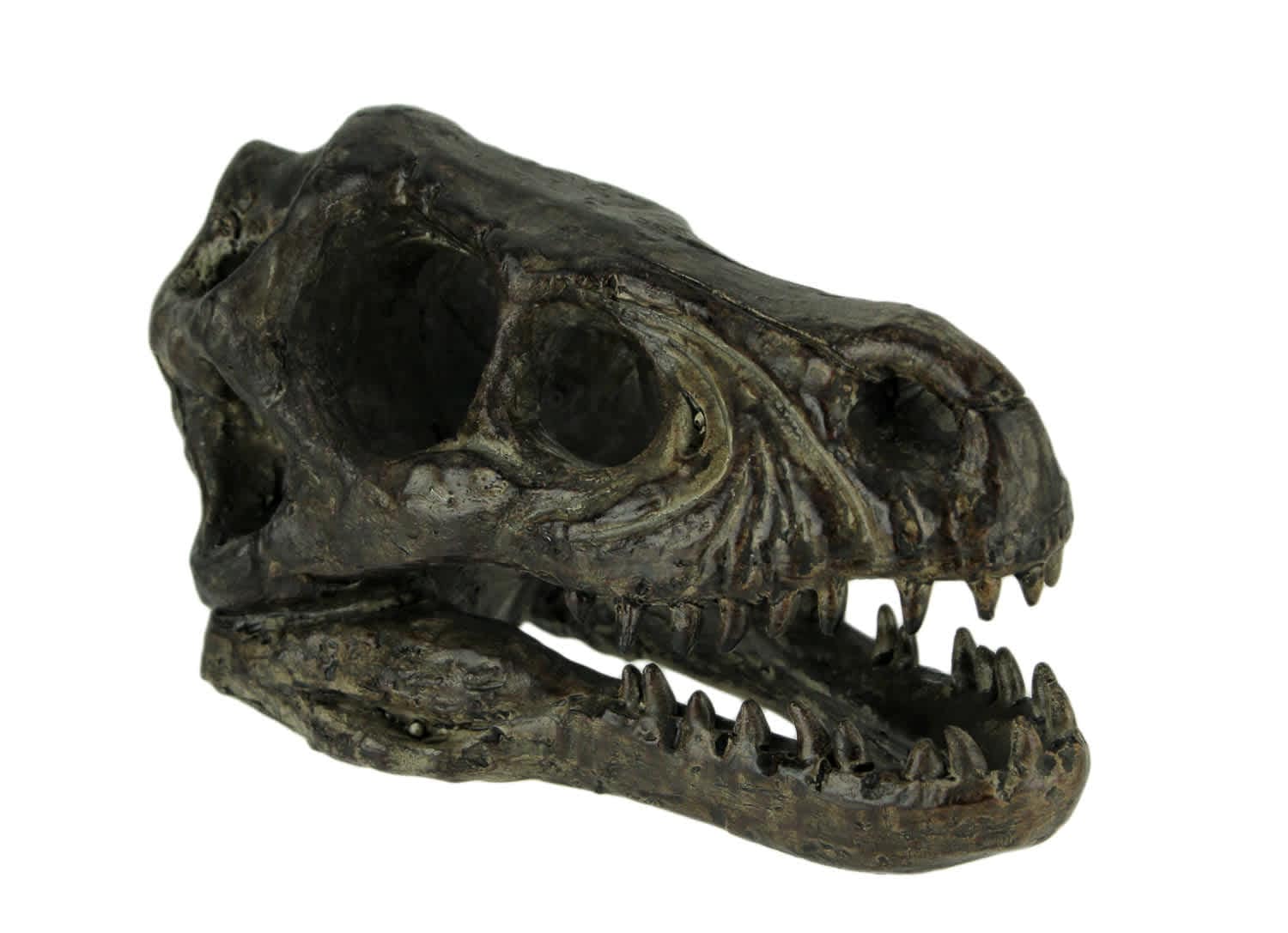 Zeckos CON-69165 Velociraptor Dinosaur Head Fossil Statue Small
