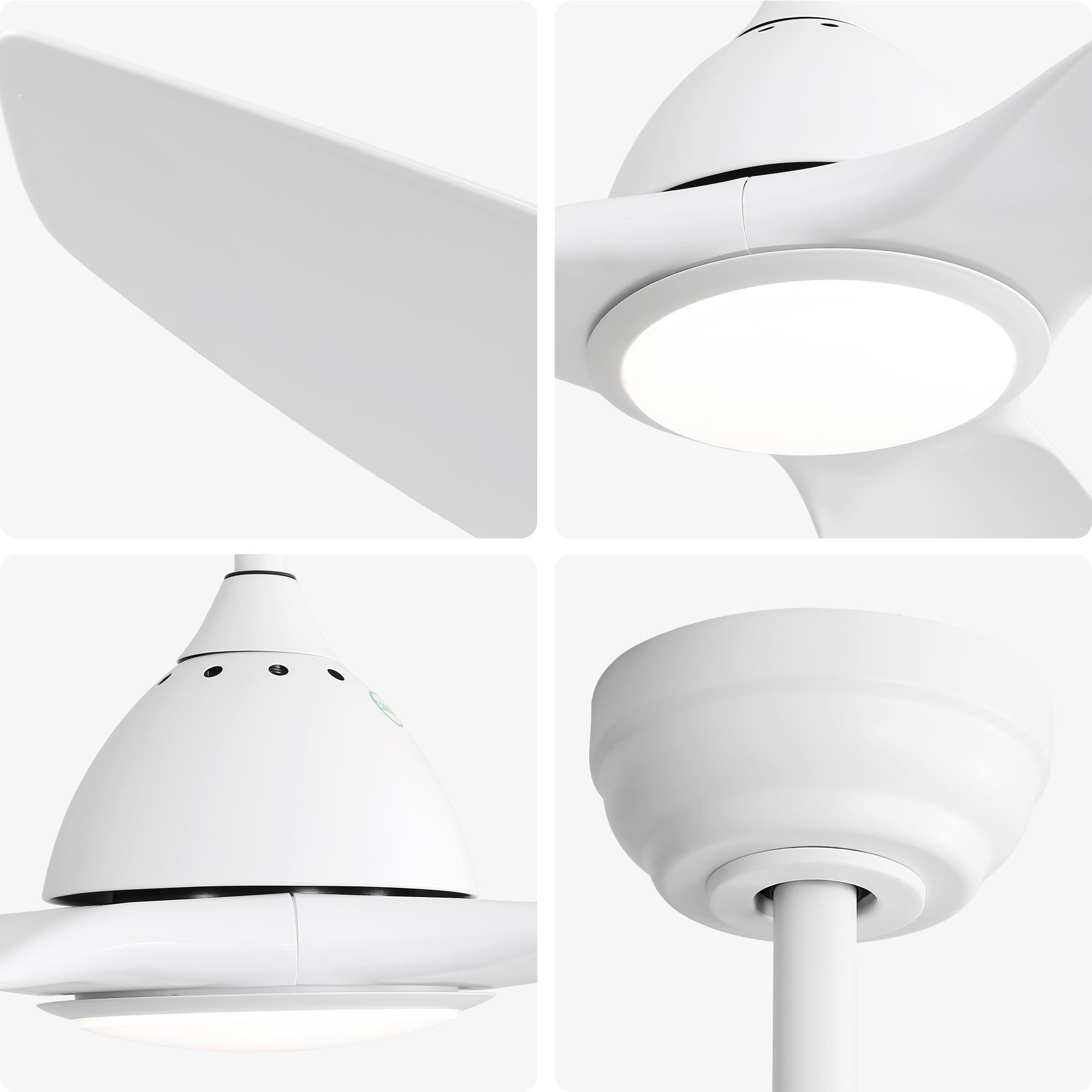 Bayfeve BFKS-11170-CF Ceiling-Fans - View #5