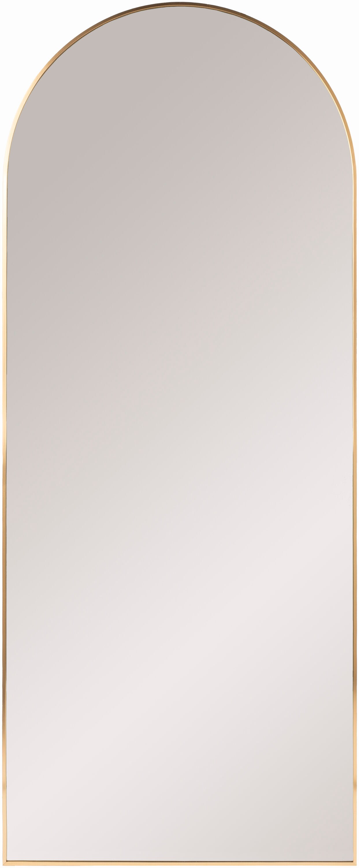 Livabliss RAY005-2867 Aranya 28-in W x 67.0-in H Arch Gold Framed Wall Mirror