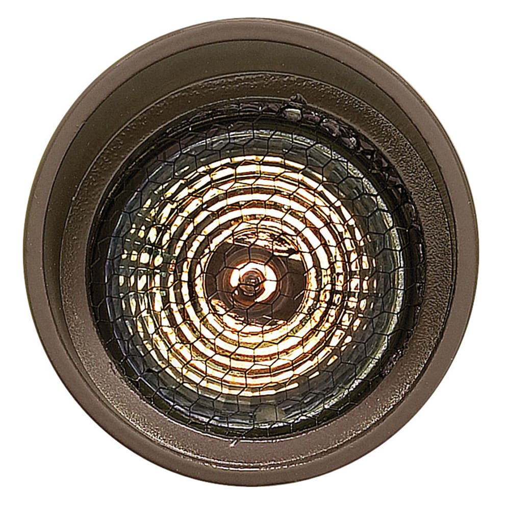Matte Bronze LED Outdoor Spotlight with Clear Lens