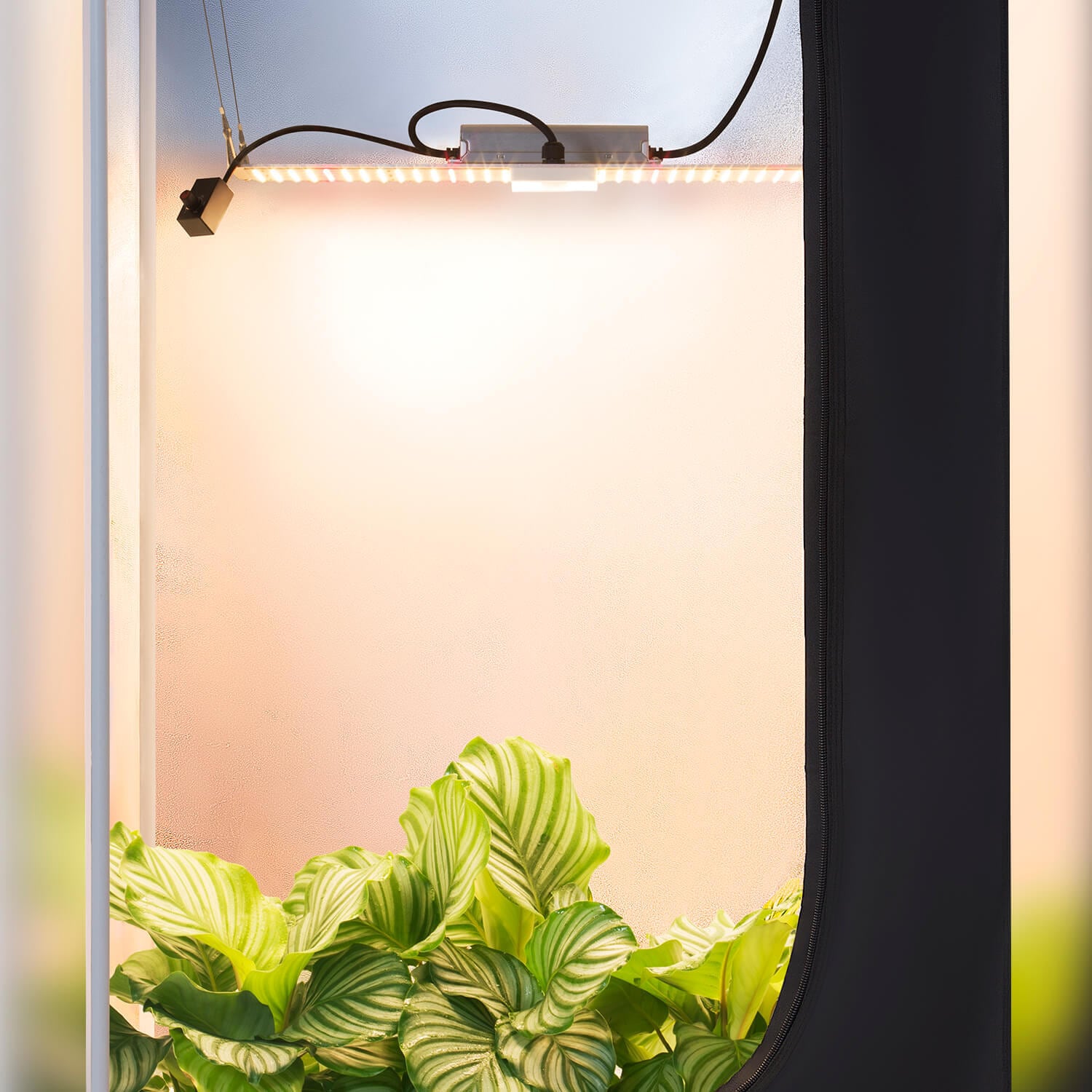 Patiowell WES-LWES1P200H Grow-Lights - View #6