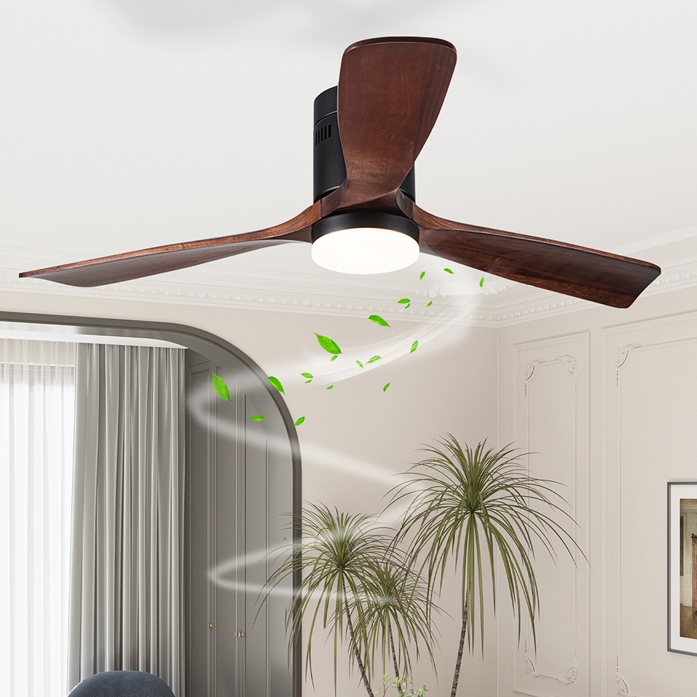 Sunrinx MG37-1-CF-7 Ceiling-Fans - View #10