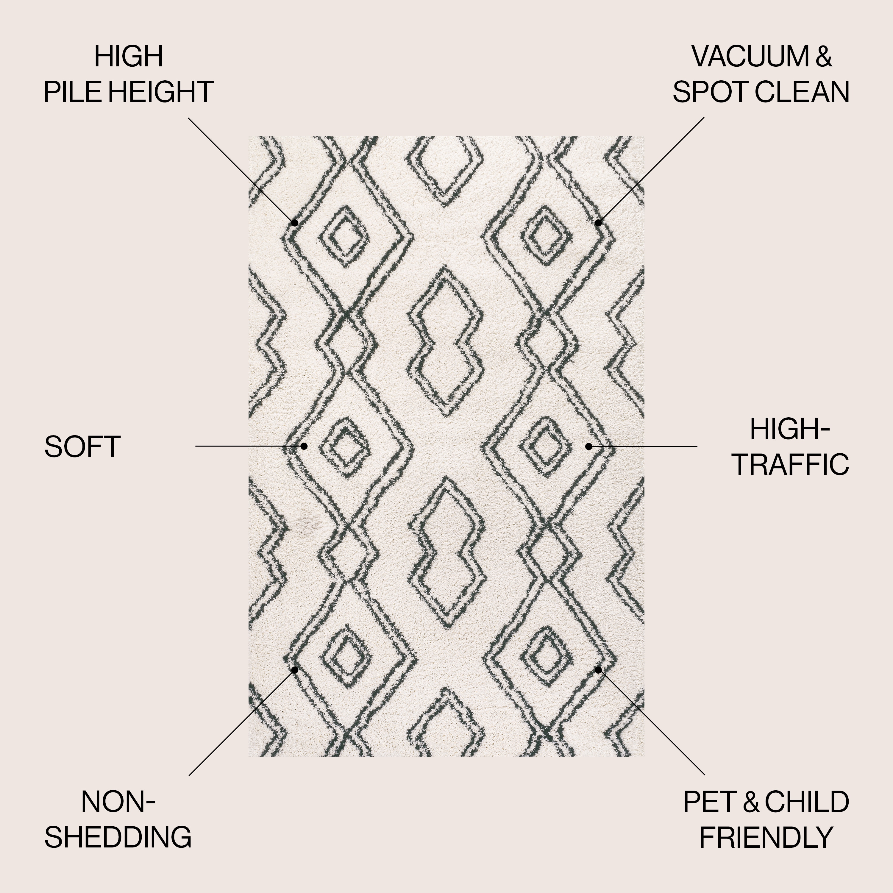 Deia Black and White Geometric Shag Area Rug