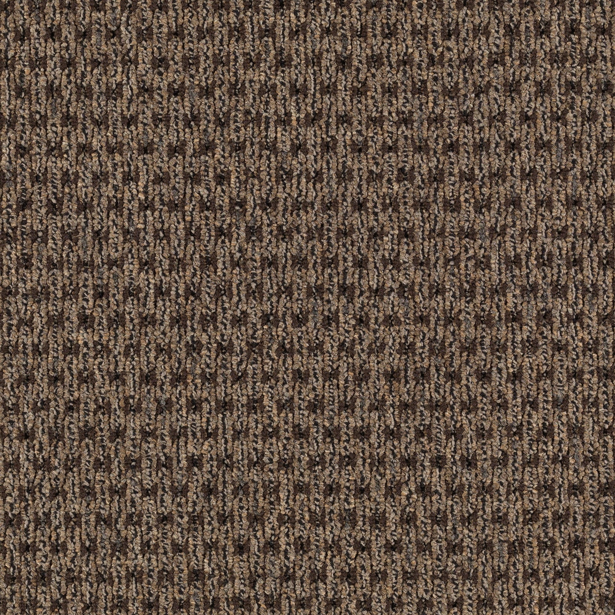 Mohawk LC47-L004-0808 (Sample) Home and Office Dine In Pine Cone Brown 22-oz sq yard Nylon Textured Indoor Carpet
