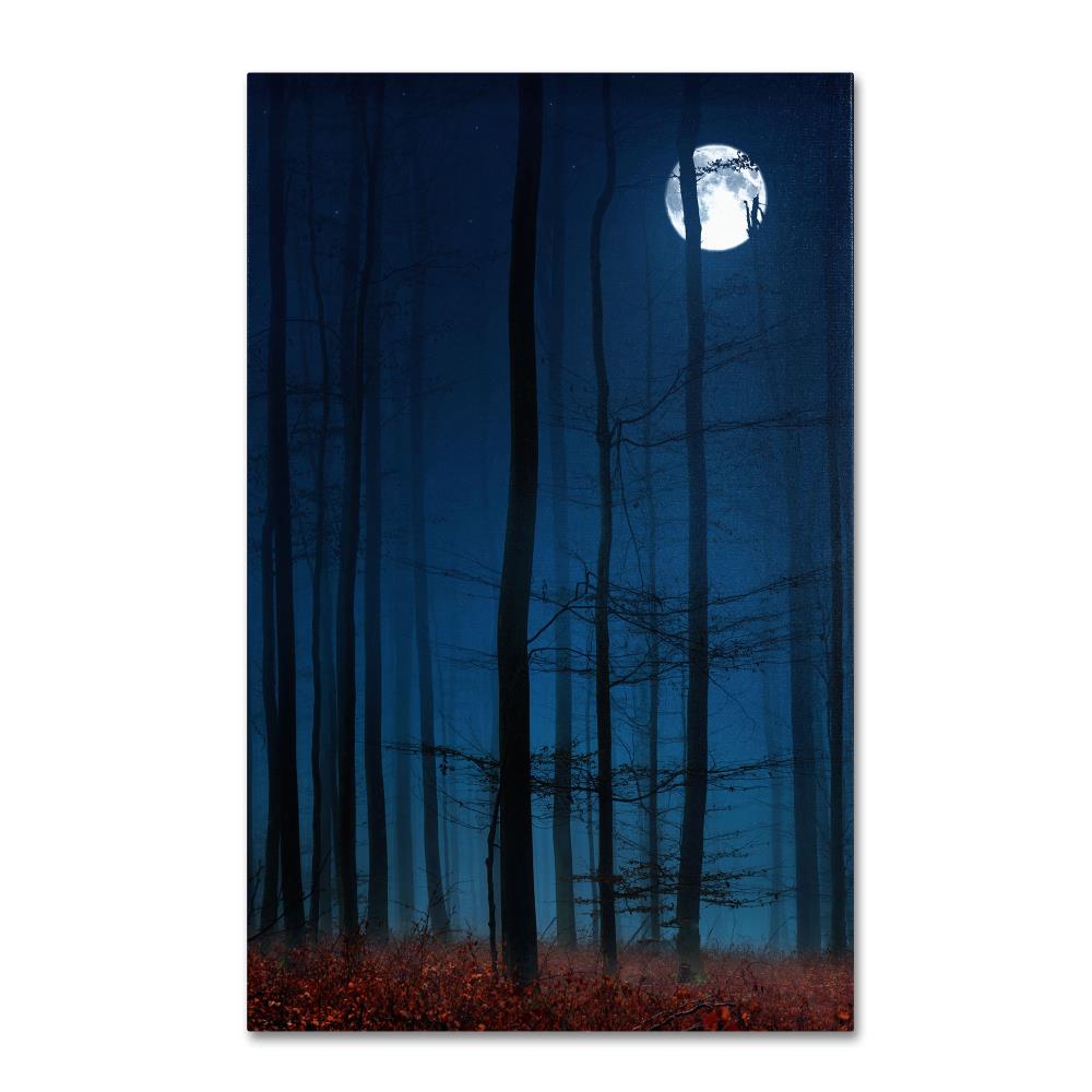 Trademark Fine Art PSL0263-C1219GG Framed 19-Inches H x 12-Inches W Landscape Canvas Print
