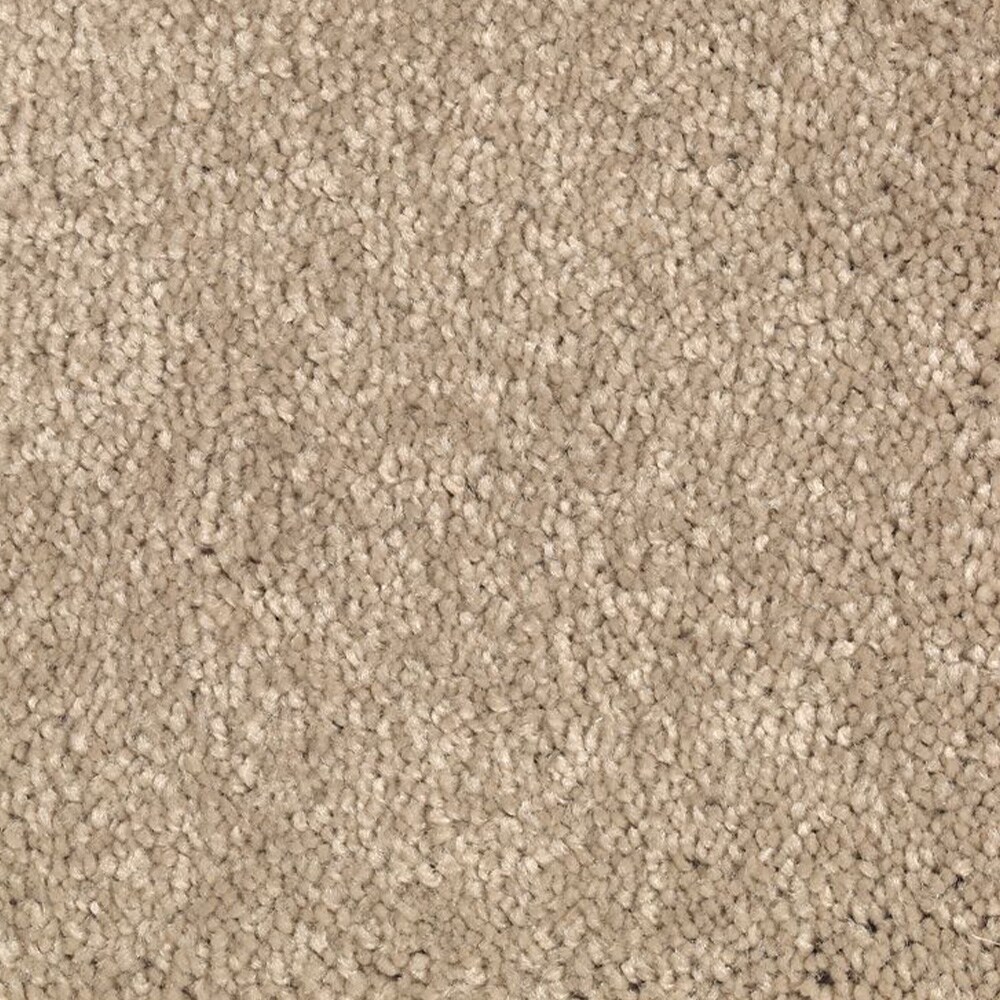 STAINMASTER (Sample) Uptown trend I Corinthian Textured Indoor Carpet ...