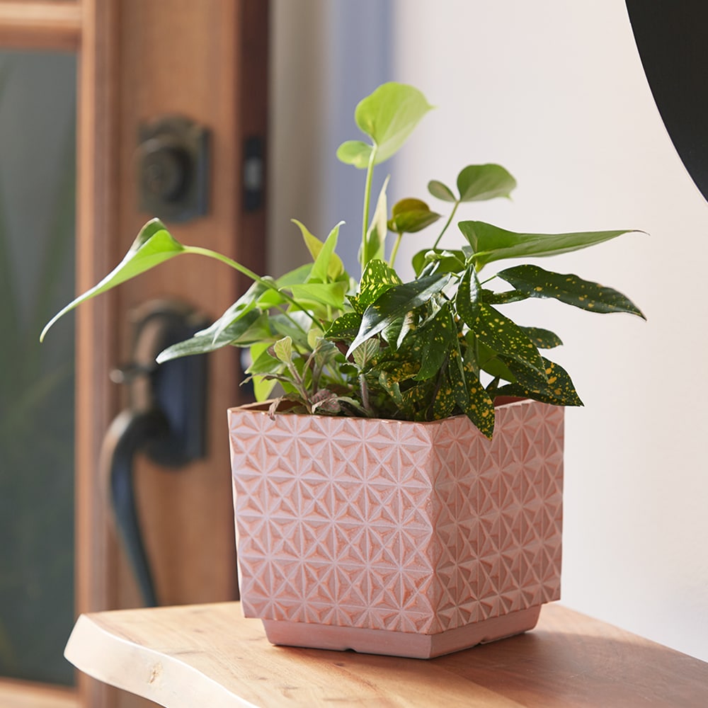 allen + roth CMX-089377 Planter-Window-Box - View #5