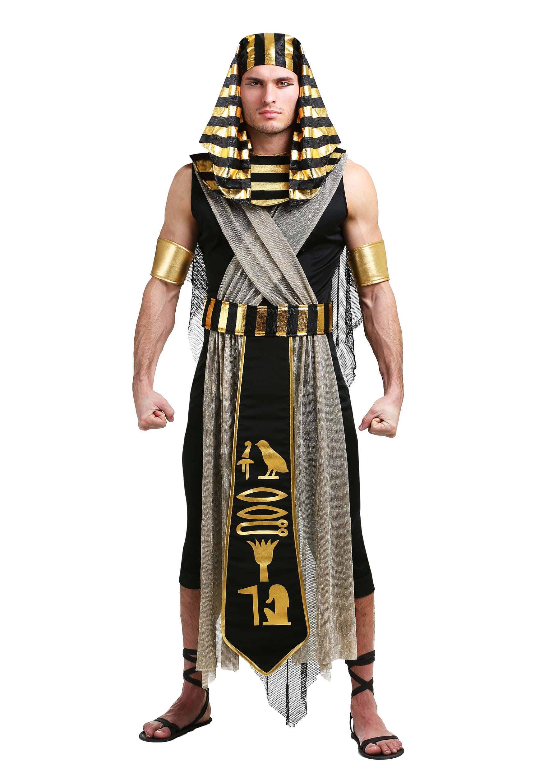HalloweenCostumes.com FUN3077AD-S FUN Costumes All Powerful Pharaoh Costume for Men Small